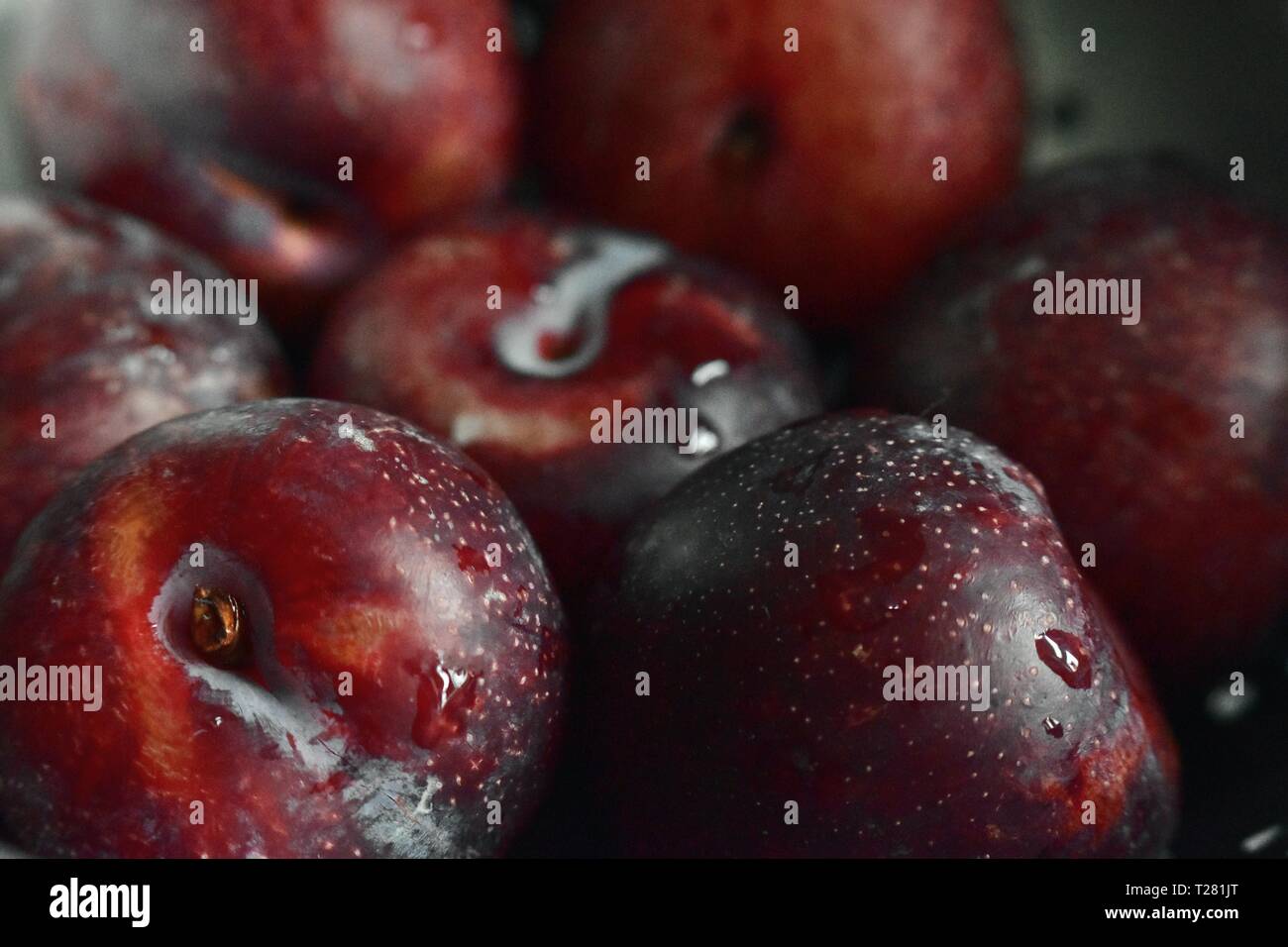 Plum fruit in a bowl splashed with water Stock Photo Alamy