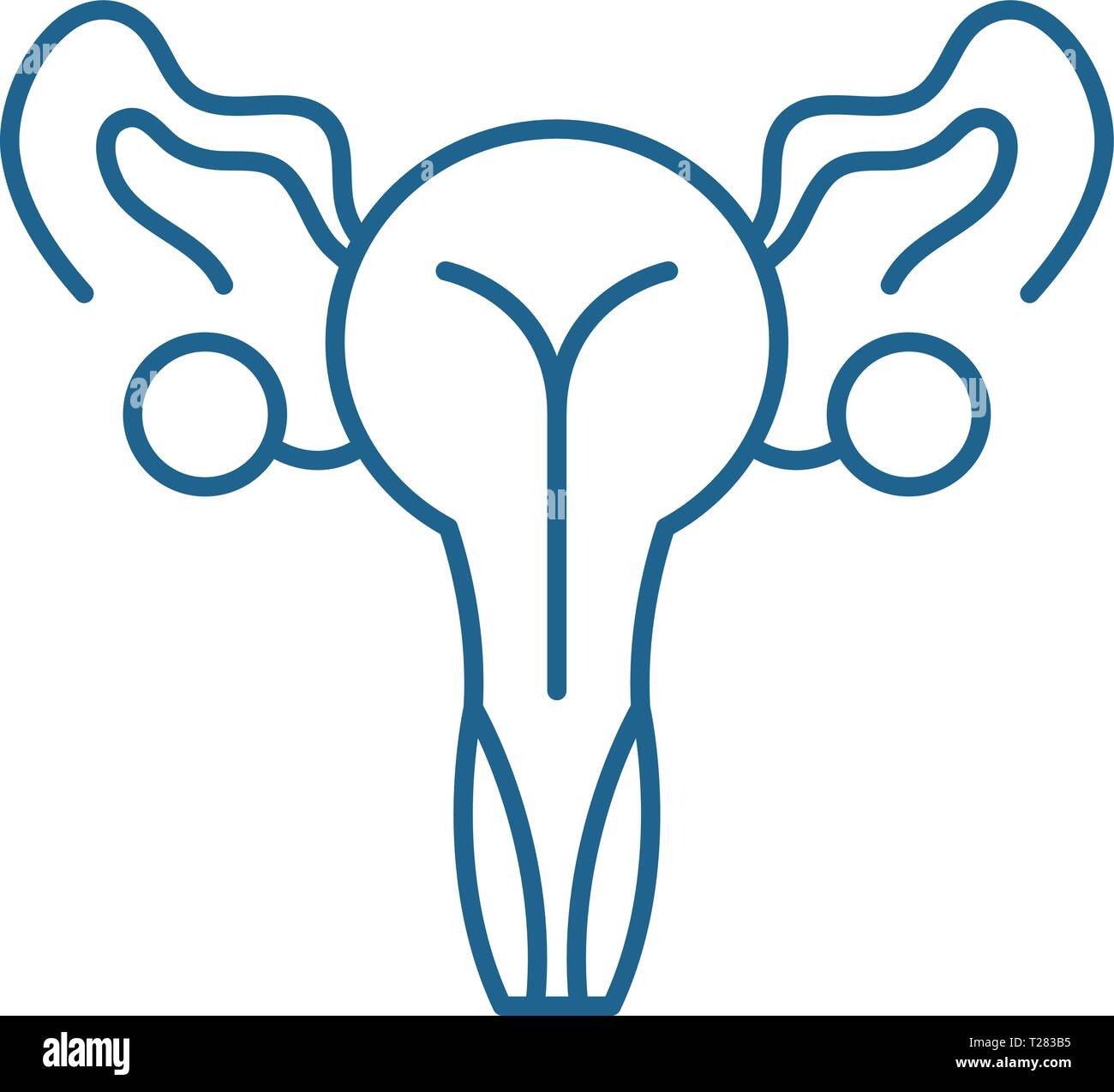 Female genitals line icon concept. Female genitals flat  vector symbol, sign, outline illustration. Stock Vector
