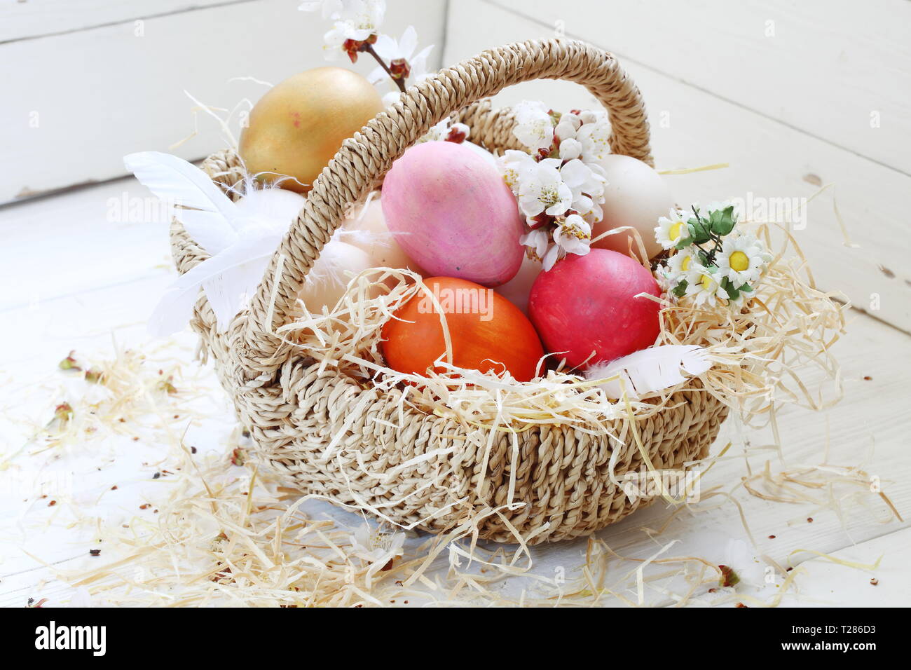 Easter still life with painted eggs and flowers on a white background ...