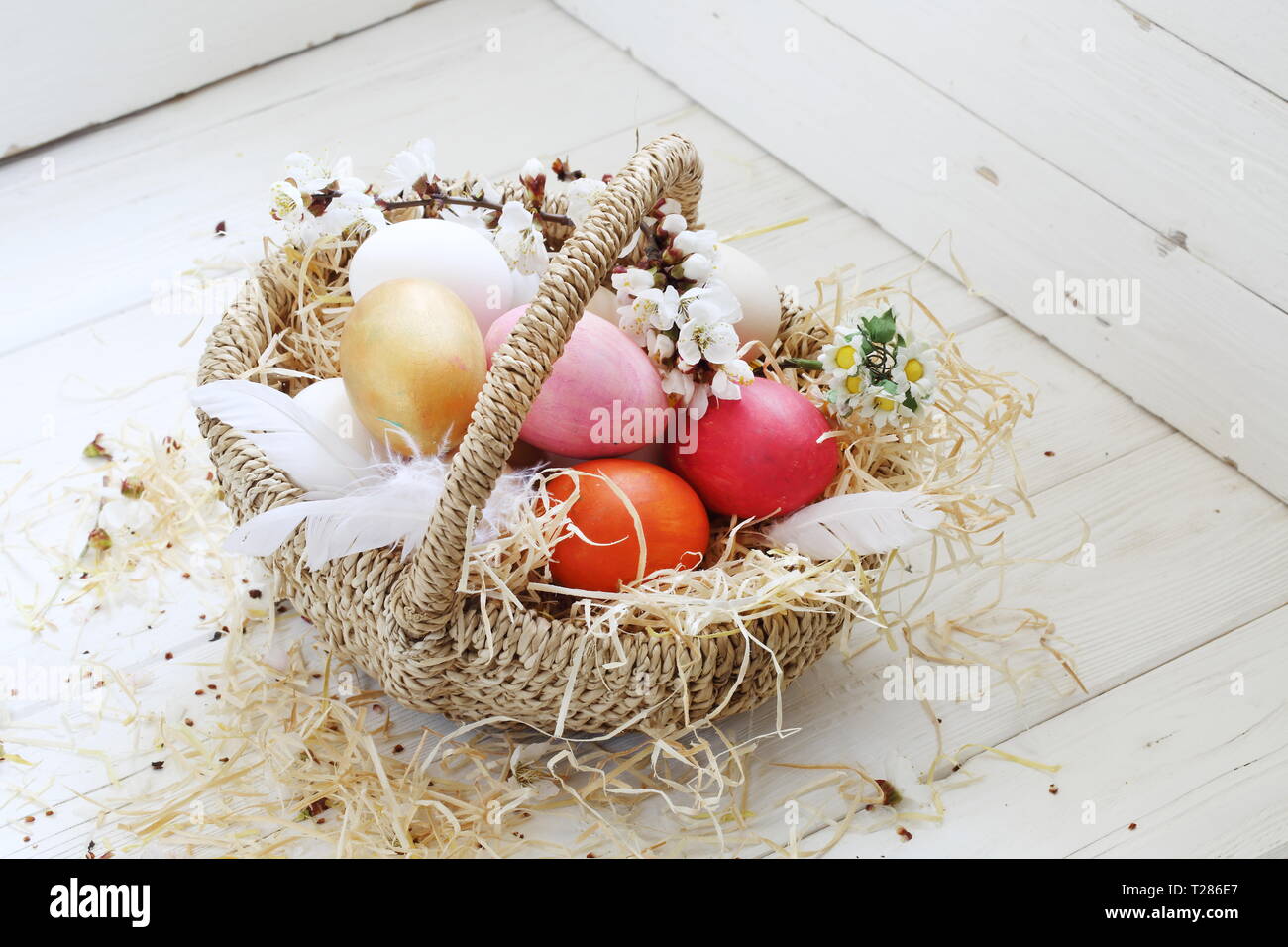 Easter still life with painted eggs and flowers on a white background ...