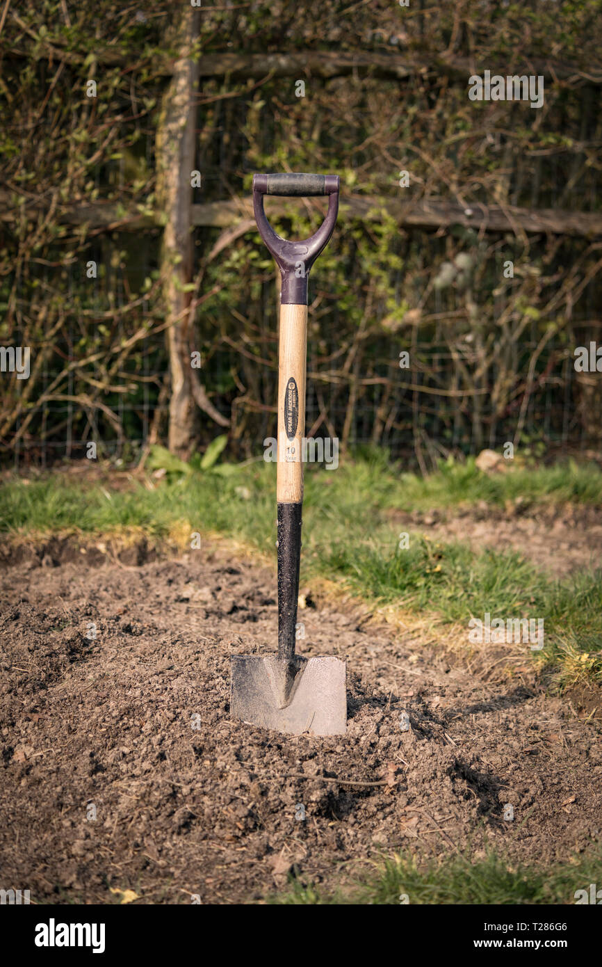 Spade stuck in the soil Stock Photo - Alamy