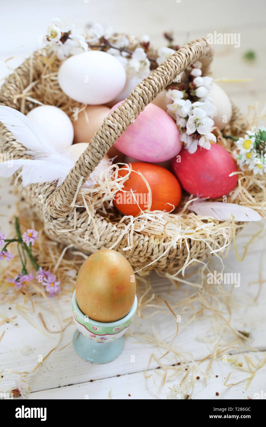 Easter still life with painted eggs and flowers on a white background ...