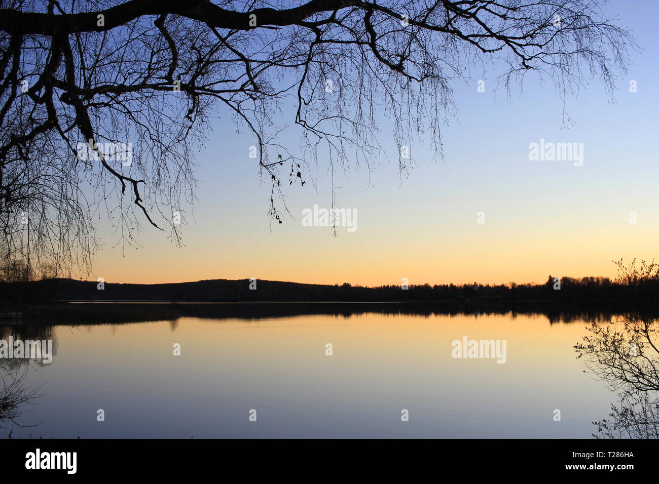 Sunset by a lake with silhouettes of trees as frame Stock Photo - Alamy