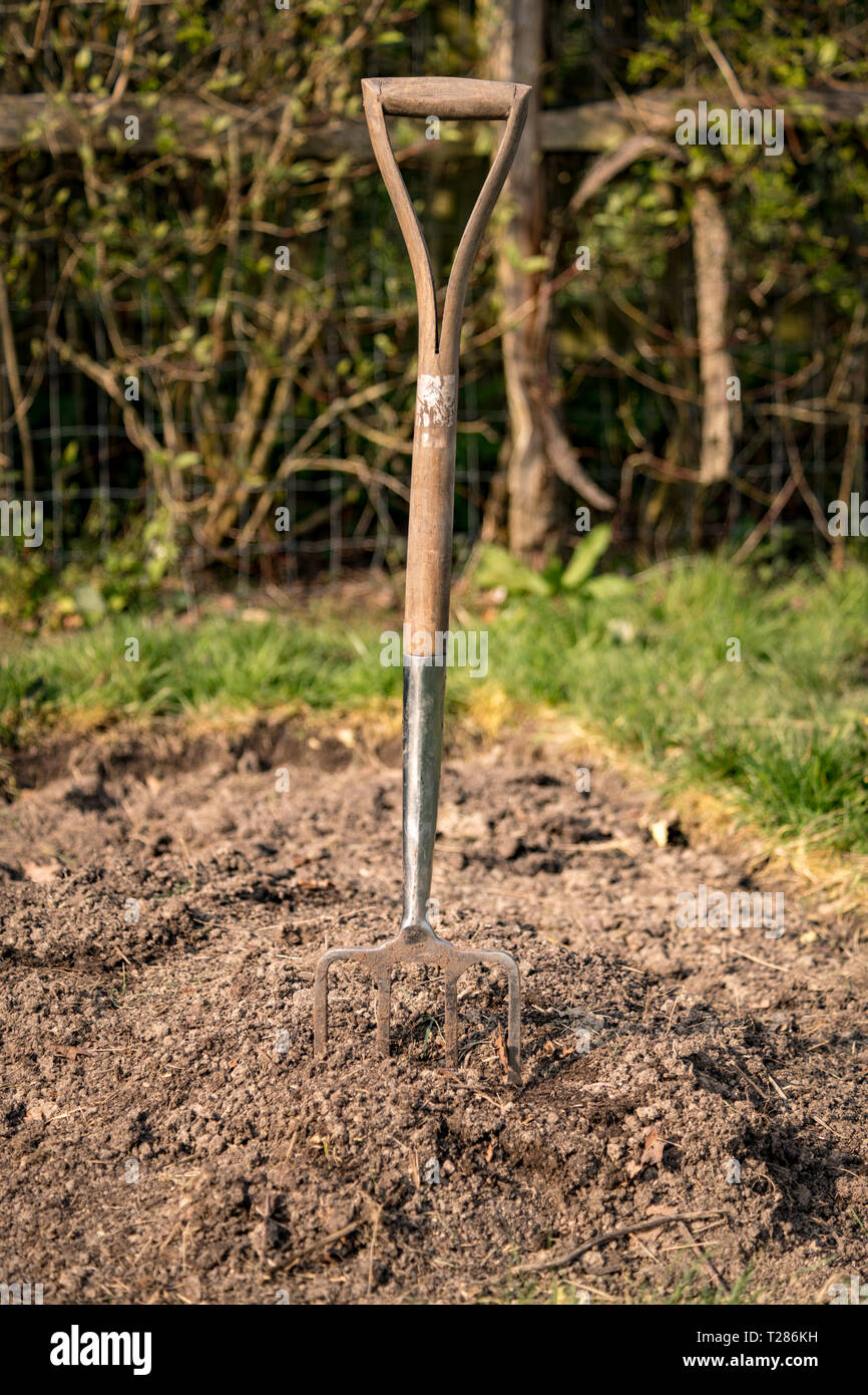 fork stuck in soil Stock Photo Alamy