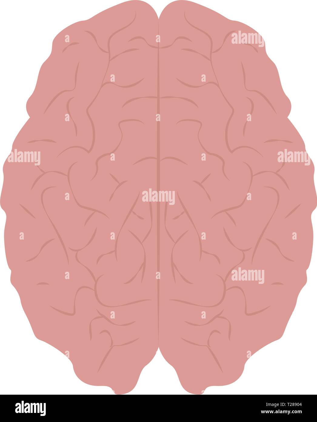 Abstract human brain Stock Vector Image & Art - Alamy