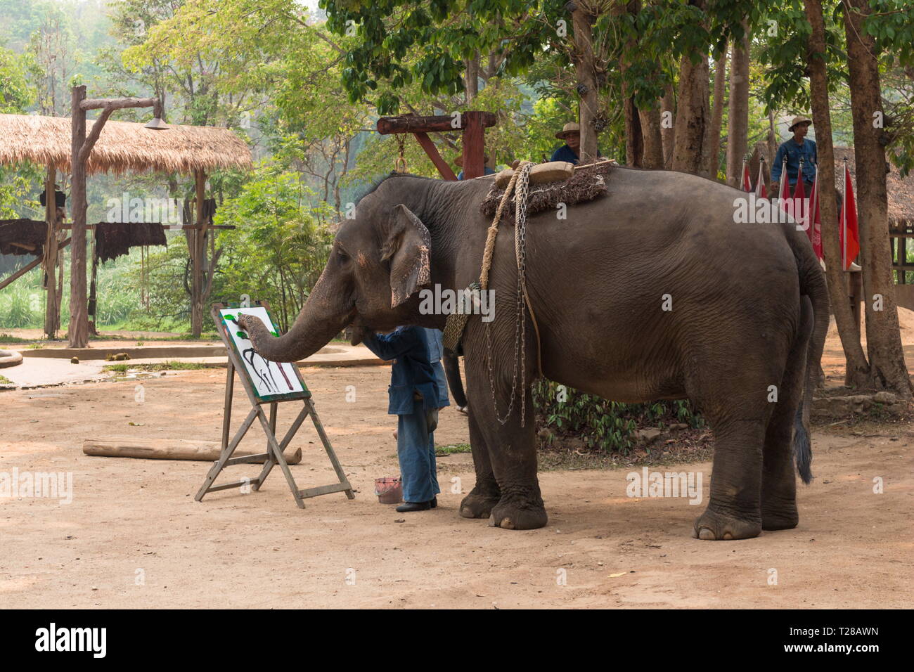 Lampang, Thailand - March 30, 2019: Elephant show at Thai Elephant Conservation Center in Lampang Province, Thailand. Stock Photo