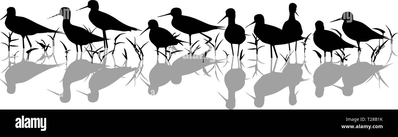 Editable vector silhouette of black-winged stilts in a marsh with all elements as separate objects Stock Vector