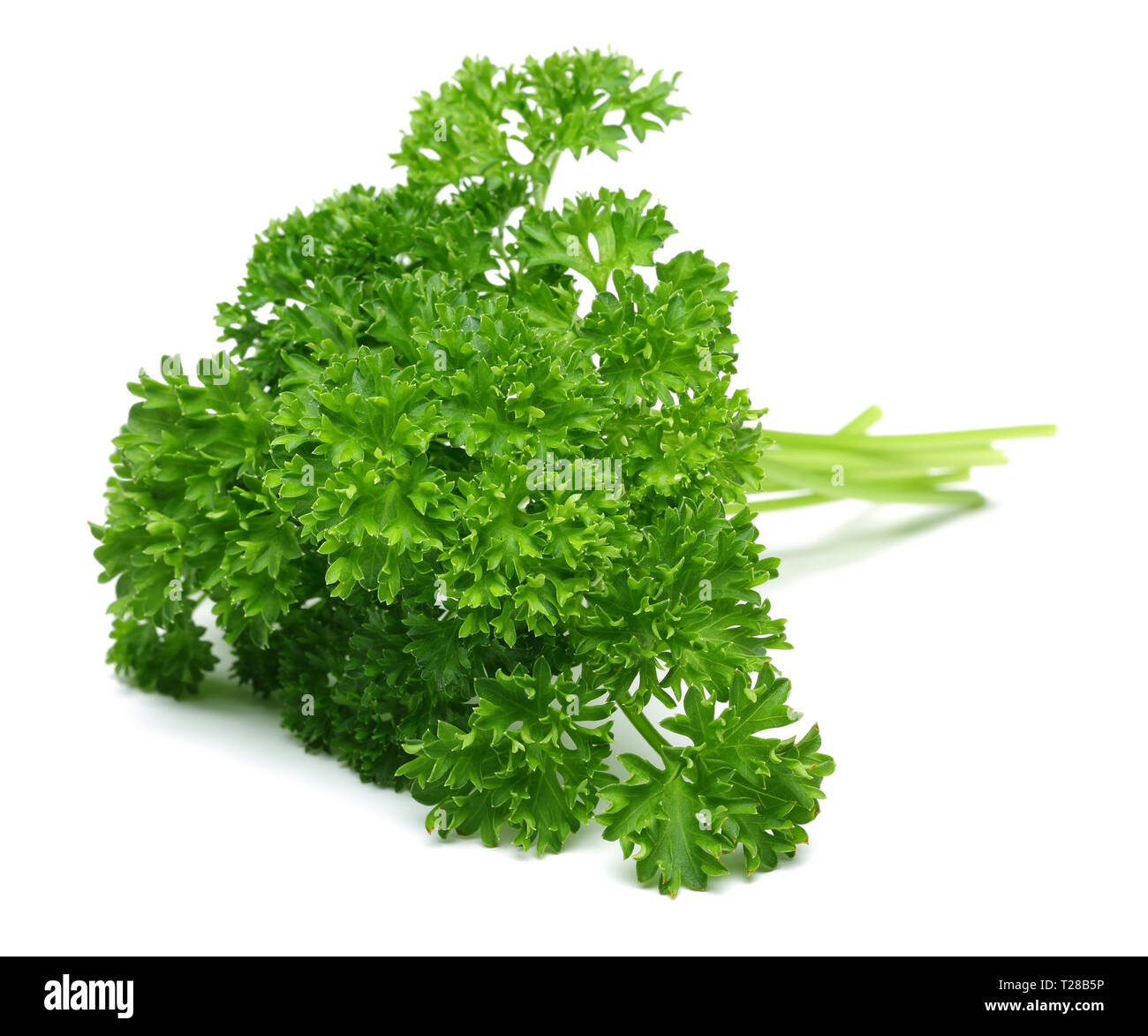 Fresh green parsley isolated on white background Stock Photo - Alamy