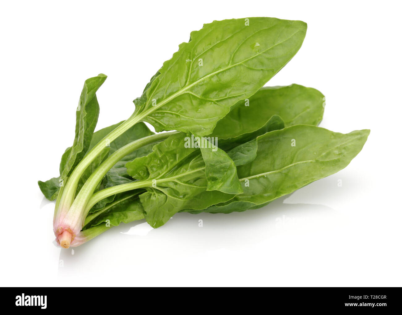 Bunch of fresh spinach isolated on white background Stock Photo - Alamy