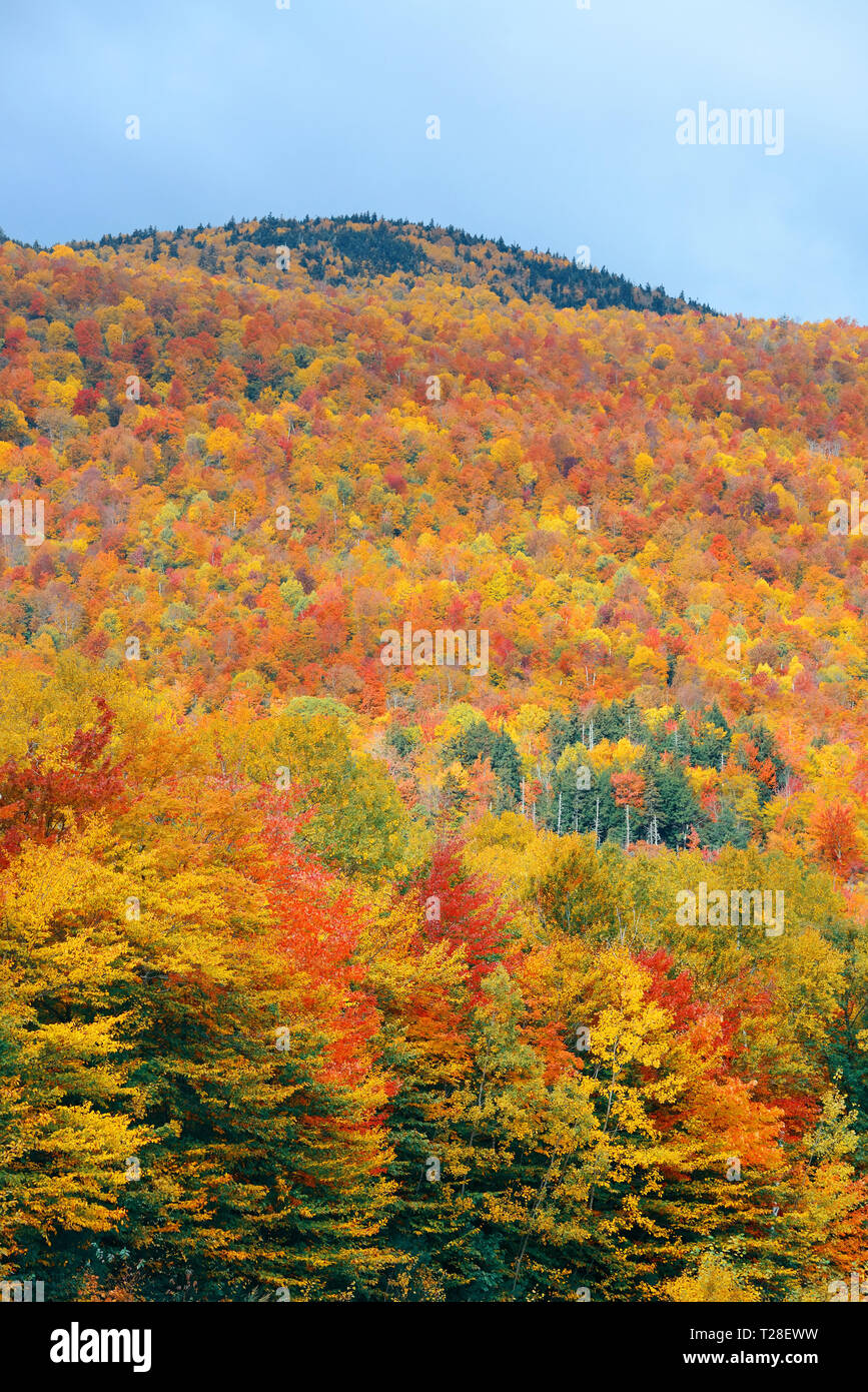 Colorful Autumn foliage in White Mountain, New Hampshire Stock Photo