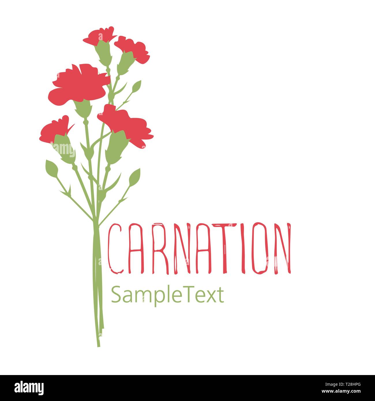 Carnation flowers. Logo design. Text hand drawn. Isolated on white