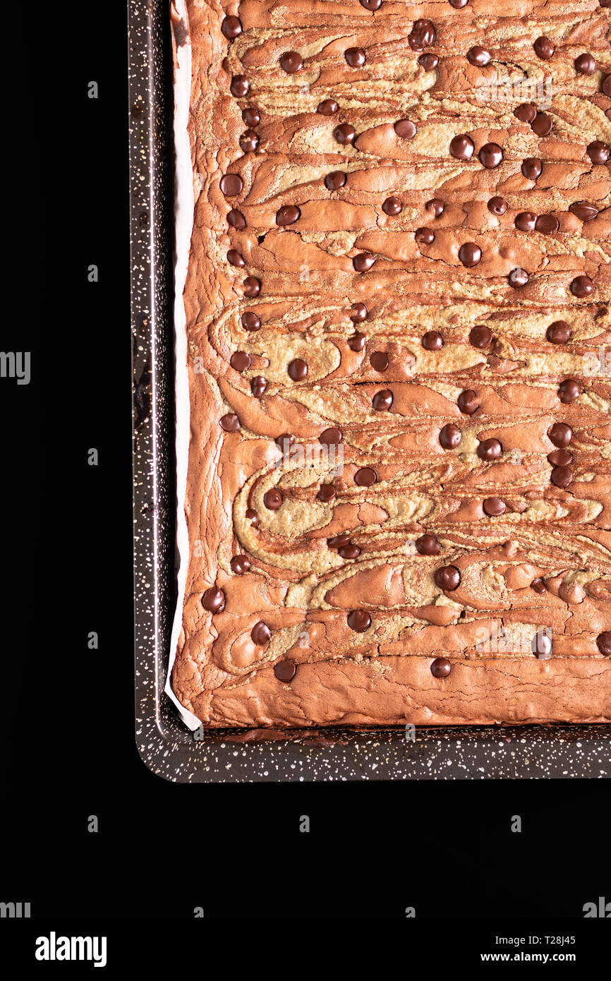 Healthy food concept Homemade organic fudge sunflower seeds butter