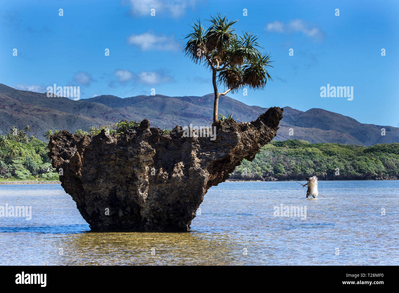 https://c8.alamy.com/comp/T28MF0/indigenous-kanak-fisherman-carrying-his-fishing-net-across-a-wave-cut-platform-at-the-mouth-of-the-yate-river-in-the-southern-lagoon-new-caledonia-T28MF0.jpg