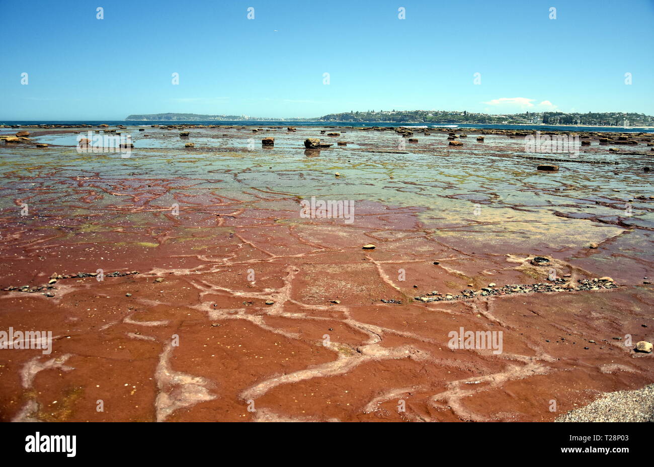 Low tide at Long Reef Headland (Sydney, Australia). Tide pools on the  Tasman sea during low tide at Northern beaches of Sydney Stock Photo - Alamy