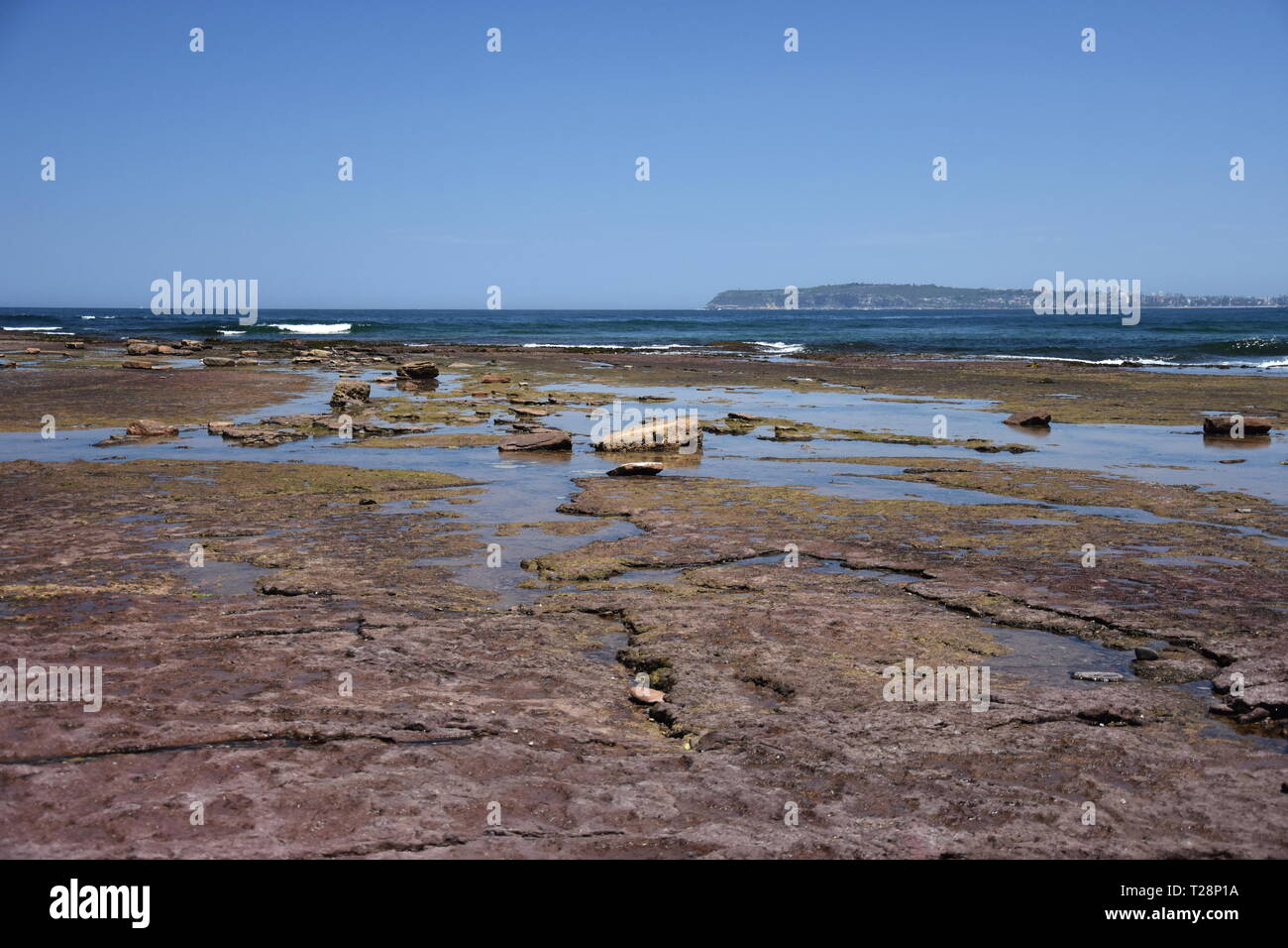Low tide at Long Reef Headland (Sydney, Australia). Tide pools on the  Tasman sea during low tide at Northern beaches of Sydney Stock Photo - Alamy