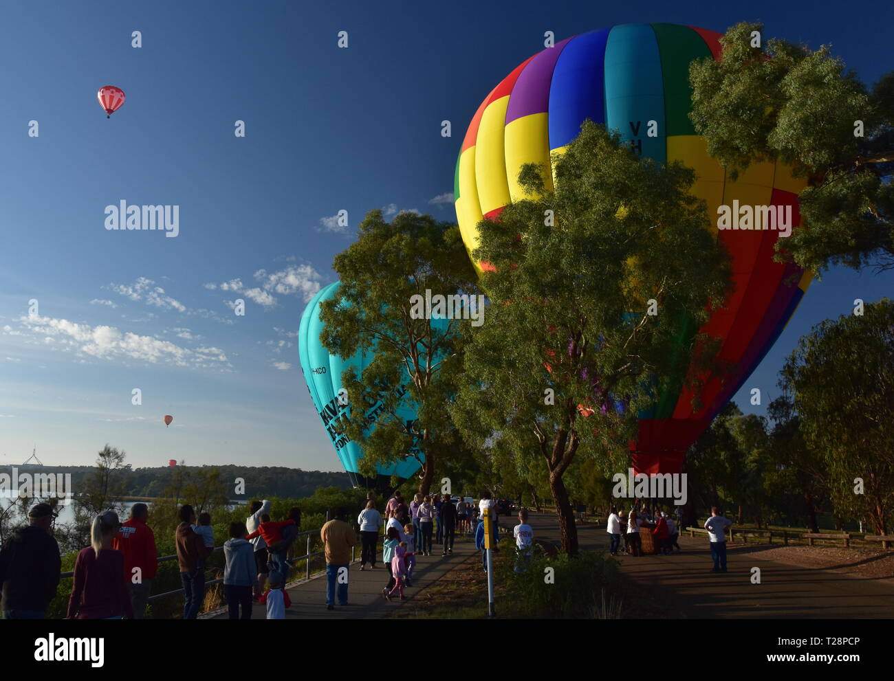 Canberra, Australia March 10, 2019. Hot air balloons landing at Lake