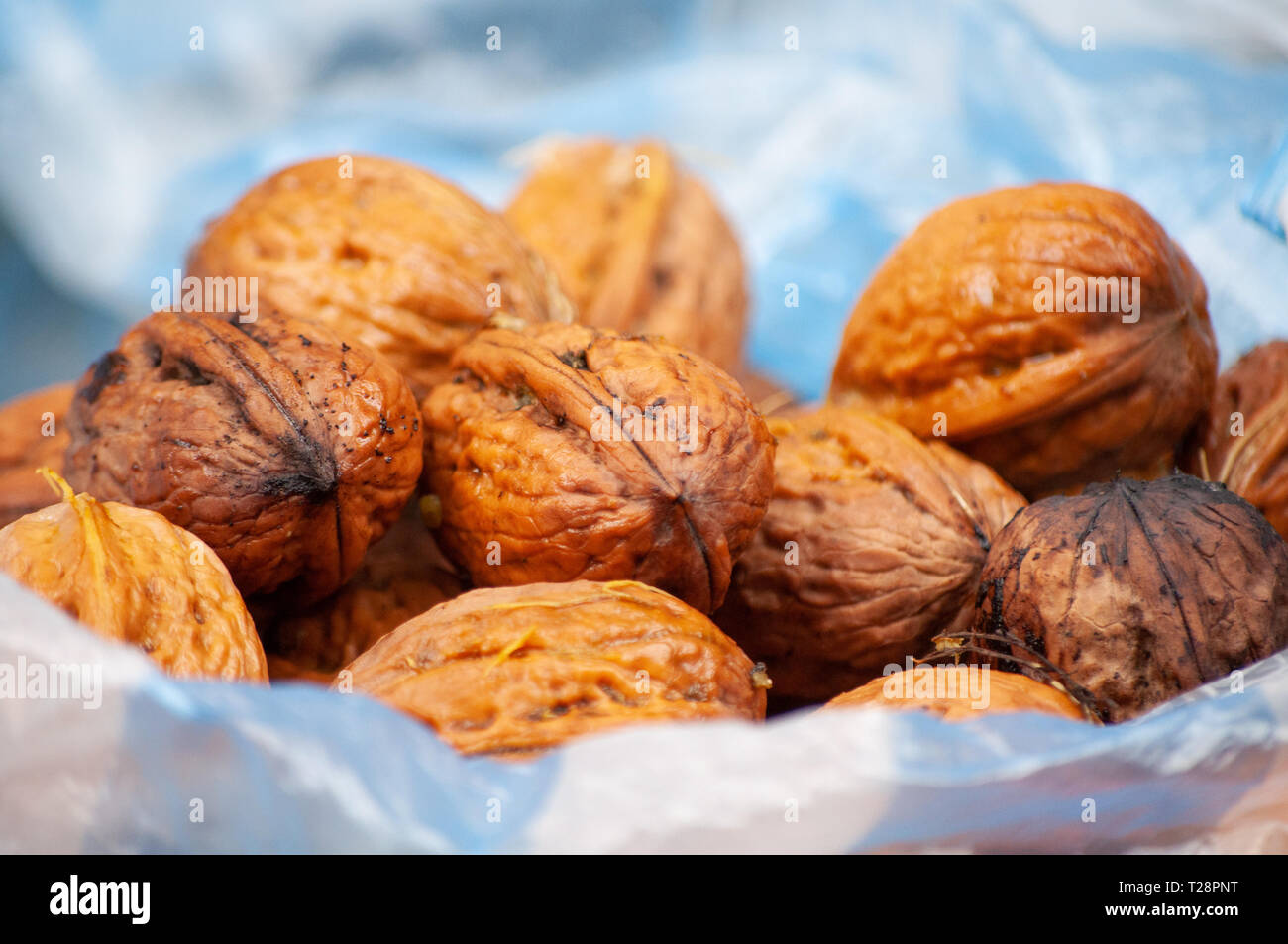 Nutshells hires stock photography and images Alamy