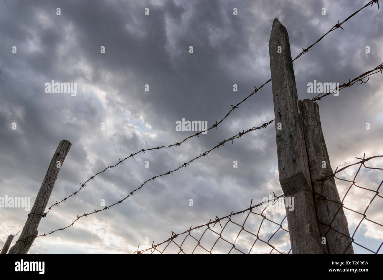 А silhouette of a barbed wire fence Stock Photo - Alamy