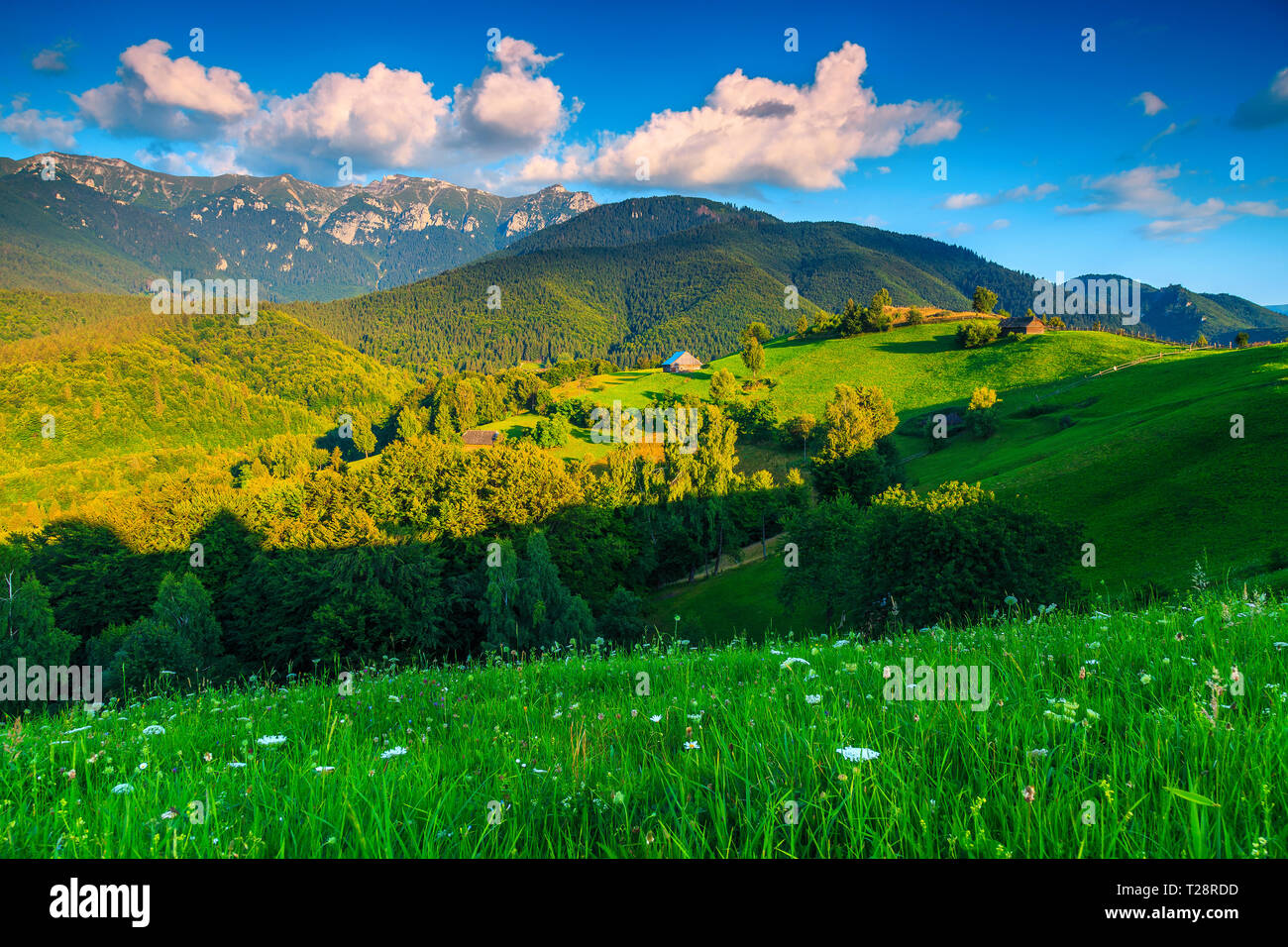 Wonderful summer alpine landscape with green fields and high mountains at sunset, Bran, Transylvania, Romania, Europe Stock Photo