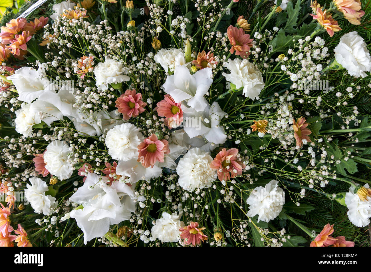 Mixed white flowers hi-res stock photography and images - Alamy
