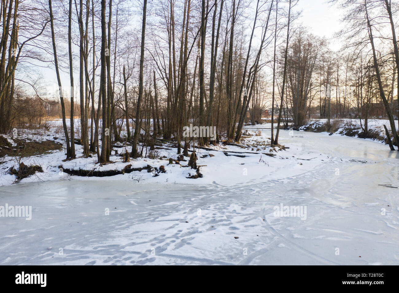 Frozen river forest blue hi-res stock photography and images - Alamy