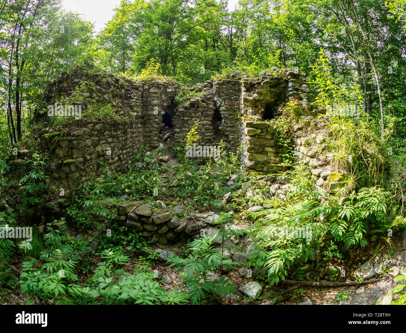 The ruins of an ancient stone fortress in a dense green forest at summer  Stock Photo - Alamy