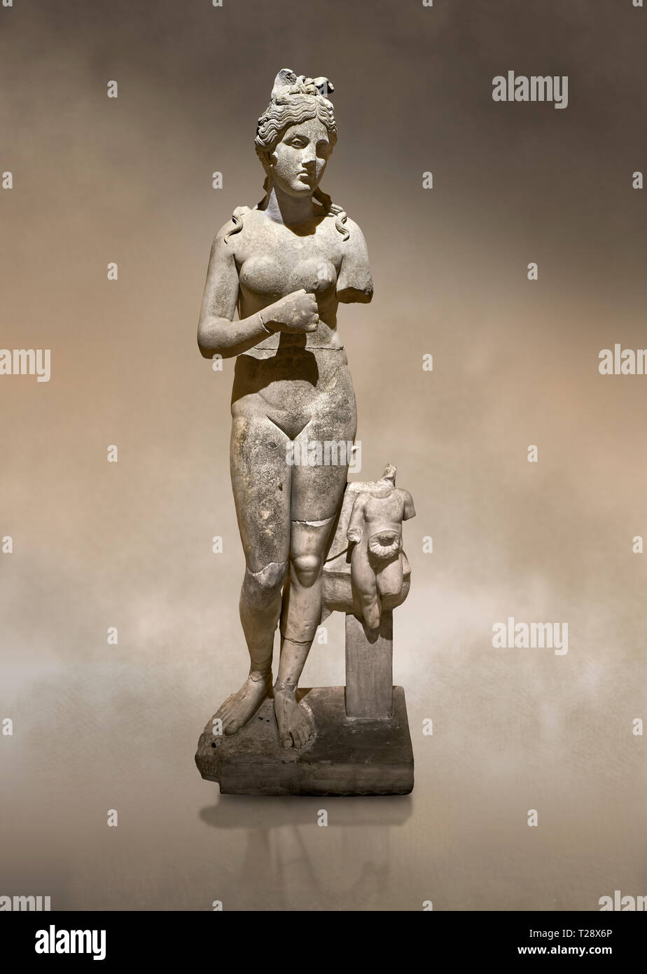 Roman statue of Modest Aphrodite. Marble. Perge. 2nd century AD