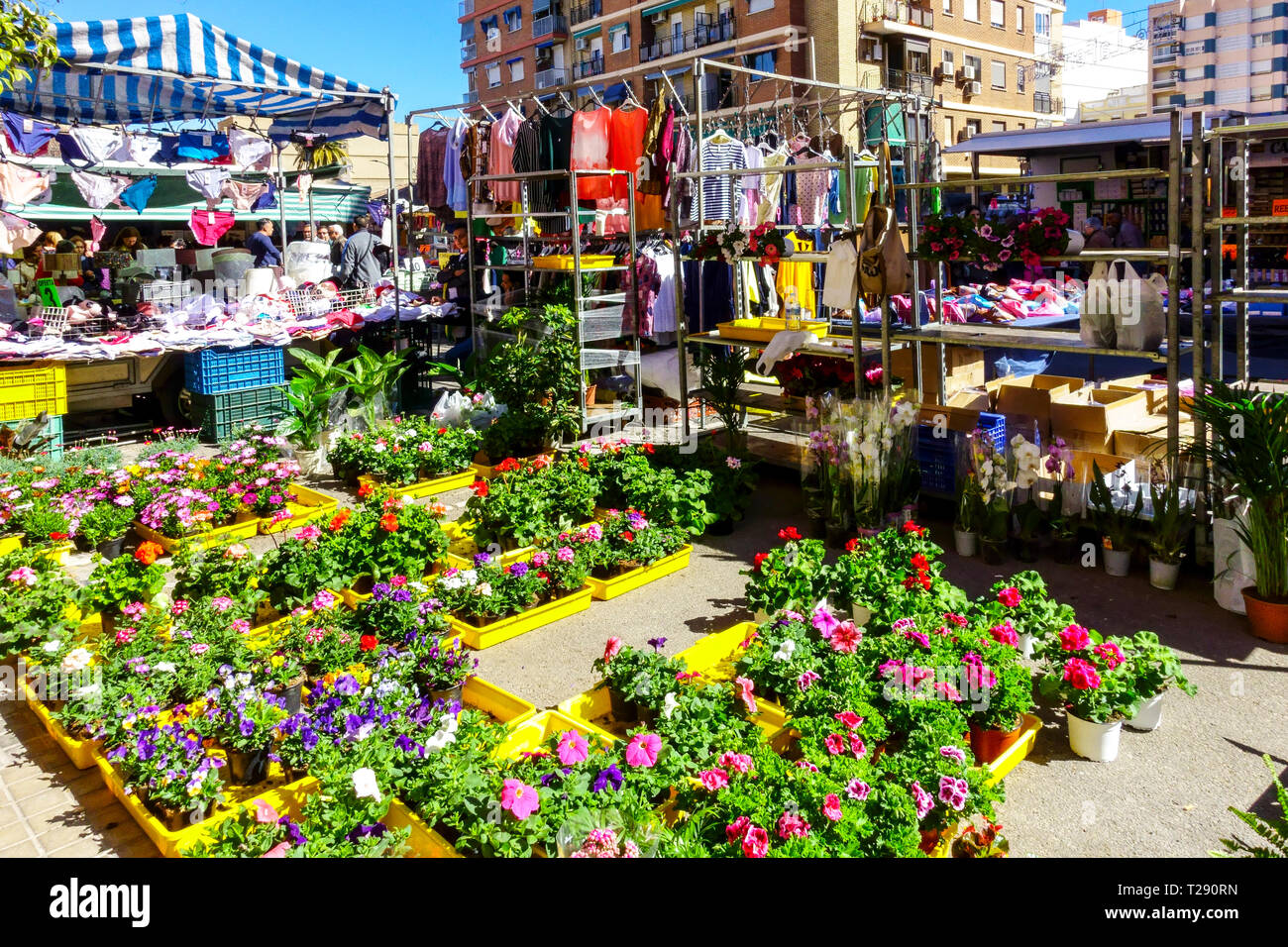 Every Thursday on the streets of El  Cabanyal Canyamelar district is a traditional market, Valencia Spain Flowers outdoor weekly market Stock Photo
