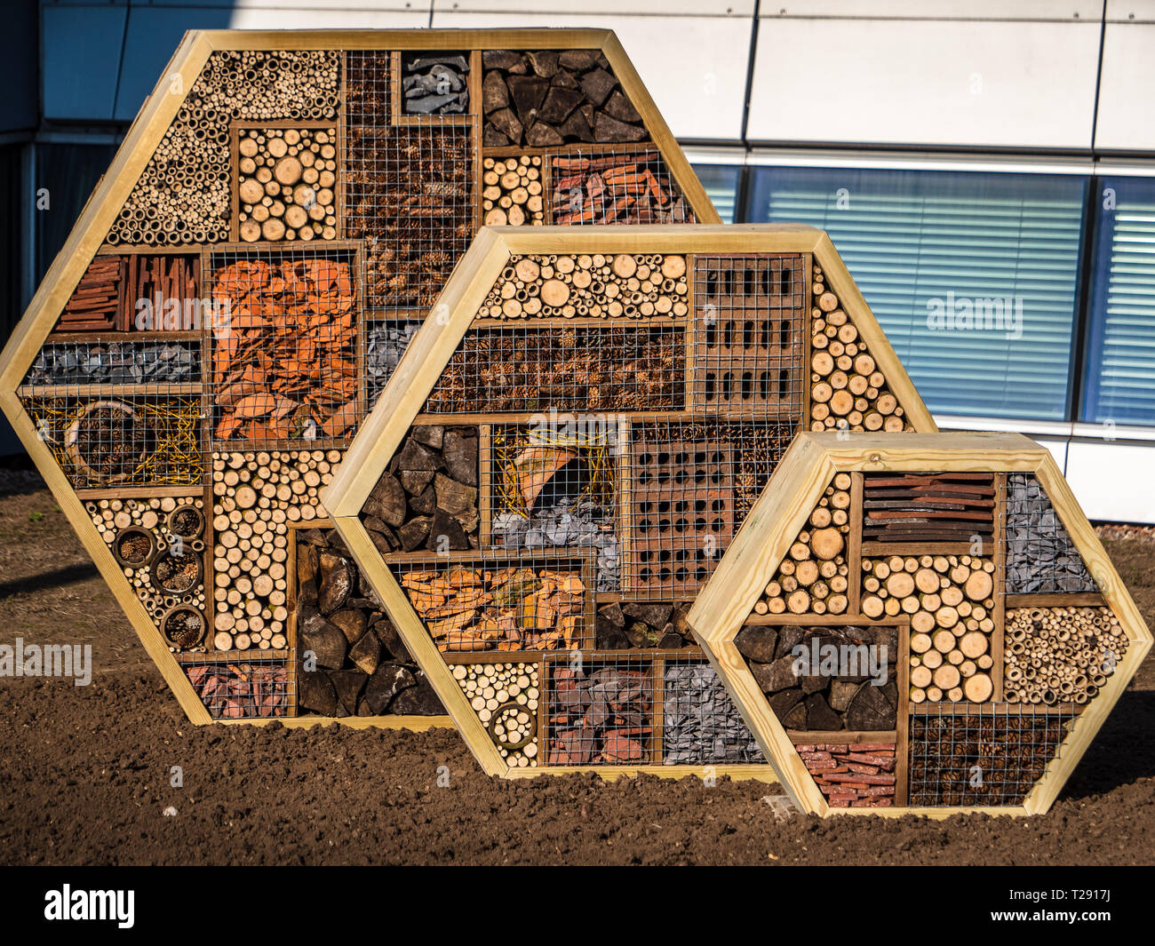 Large Bug Hotels Coventry University - hexagonal insect boxes on the University Campus reflect the design of the Engineering & Computing Building Stock Photo