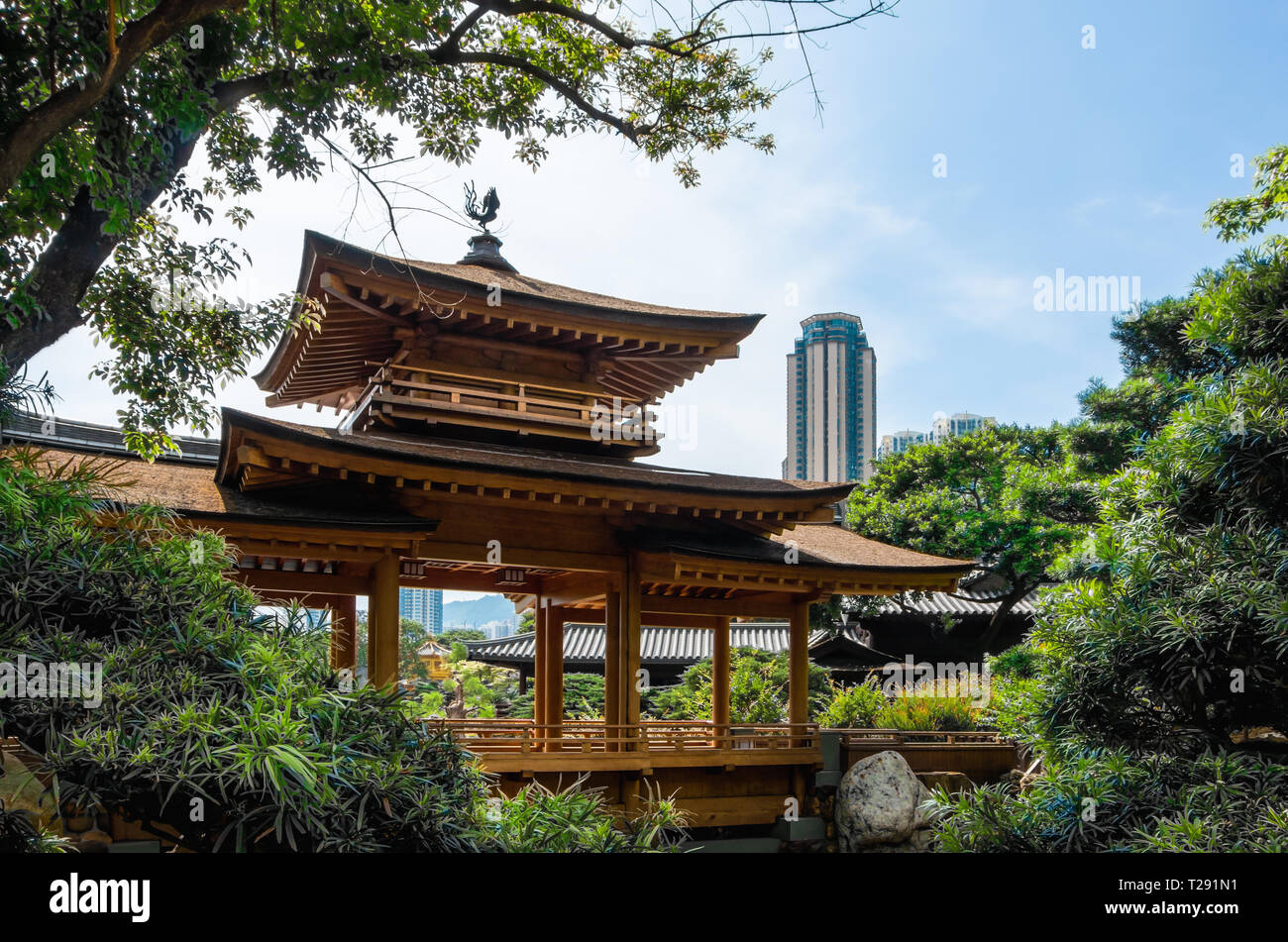 Nan Lian Garden, Buddhist temple, Hong Kong, wooden architecture, Tang Dynasty, Kowloon, place for a walk, green park Stock Photo