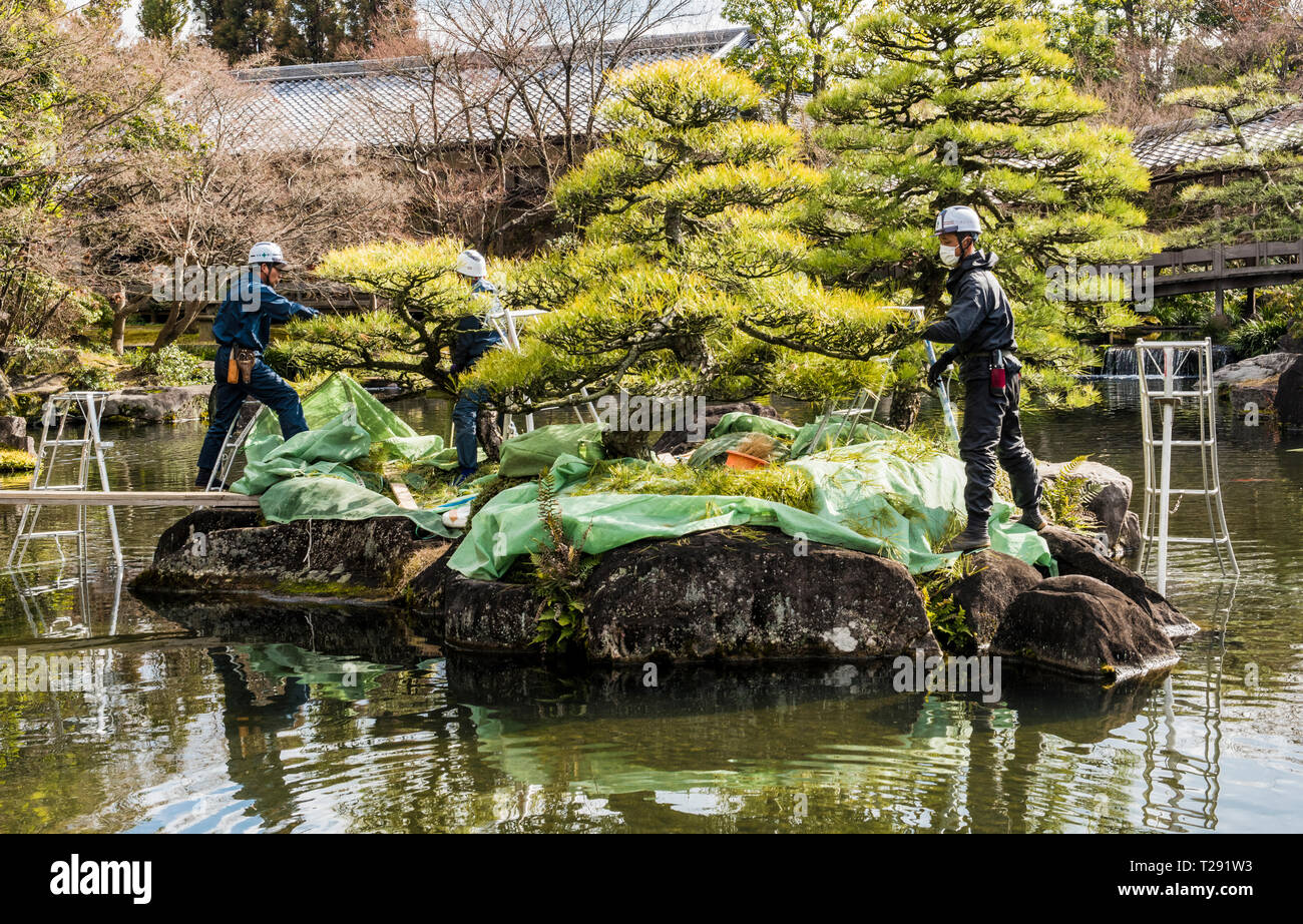 Three workers tending to trees on lake, Koko-en Garden, Himeji, Japan Stock Photo