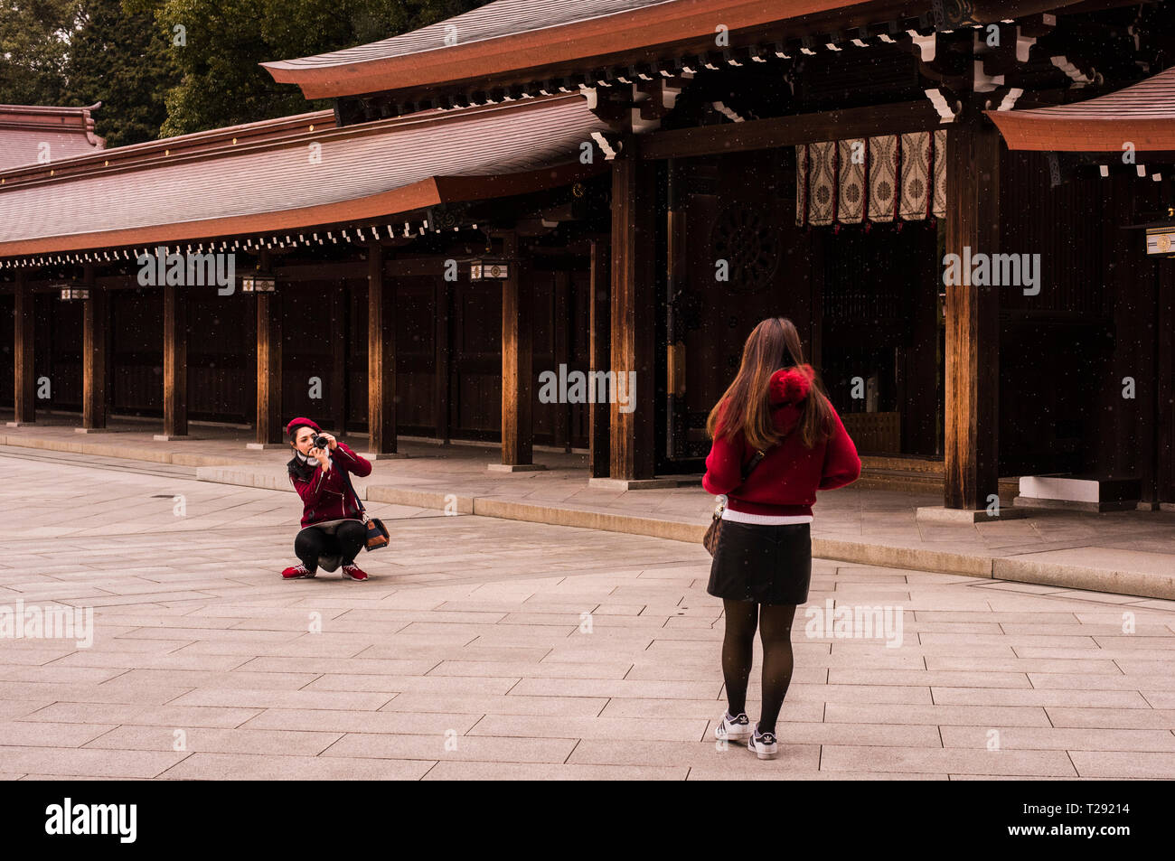 Woman crouching, photographing friend, Meiji Jingu Shrine, Shibuya, Tokyo Stock Photo