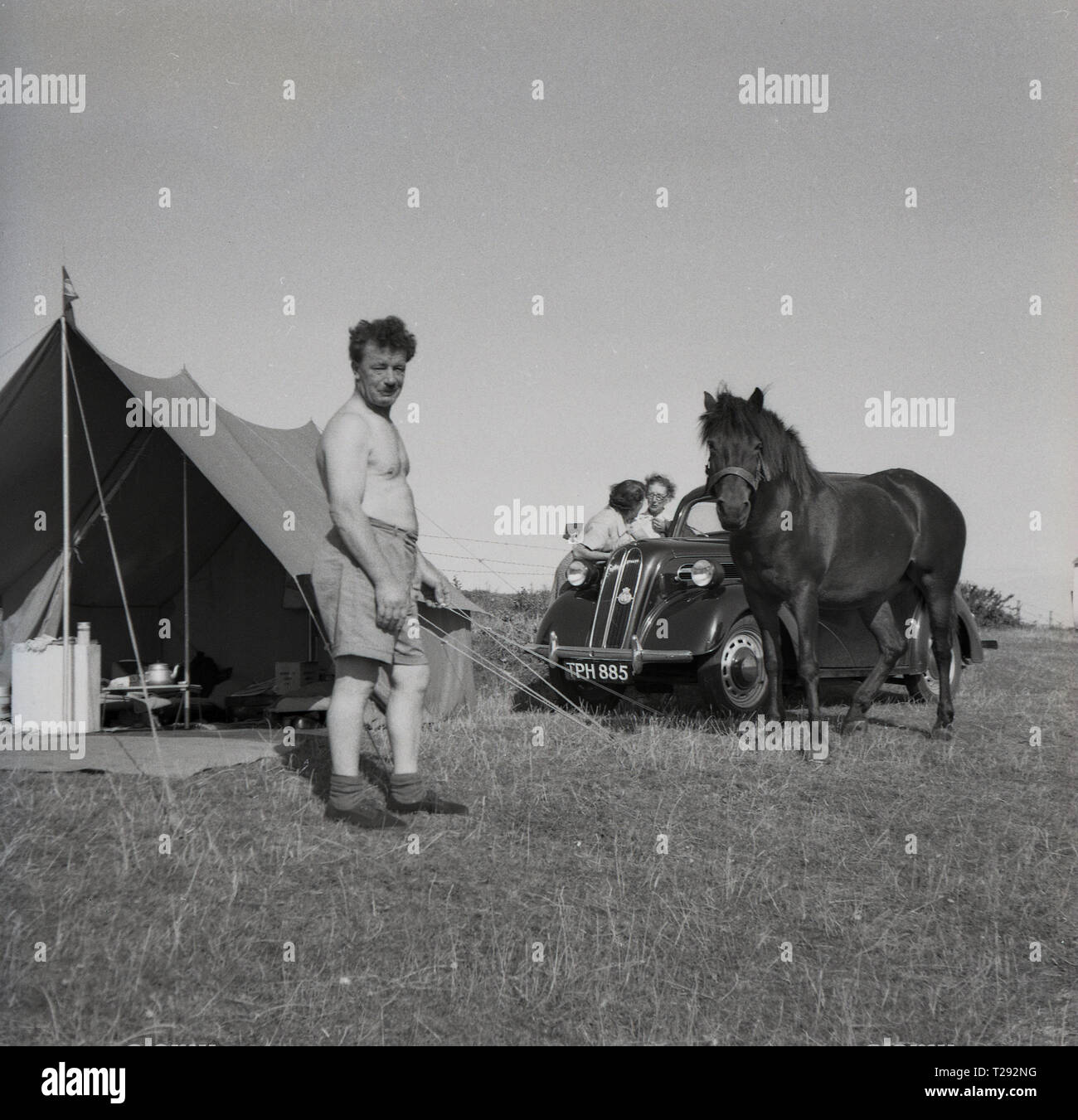 1950s, historical, camping in an open field, a retired army man standing outside in his tent with a surprise visitor, a horse, England, UK. Stock Photo