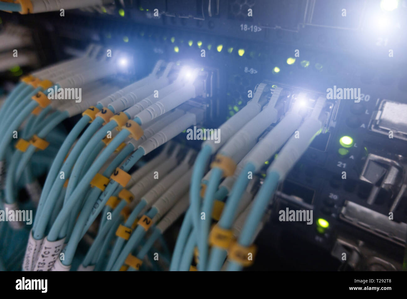Close up fiber optic cable. Servers racks. Severs computer in a rack at the large data center. Stock Photo