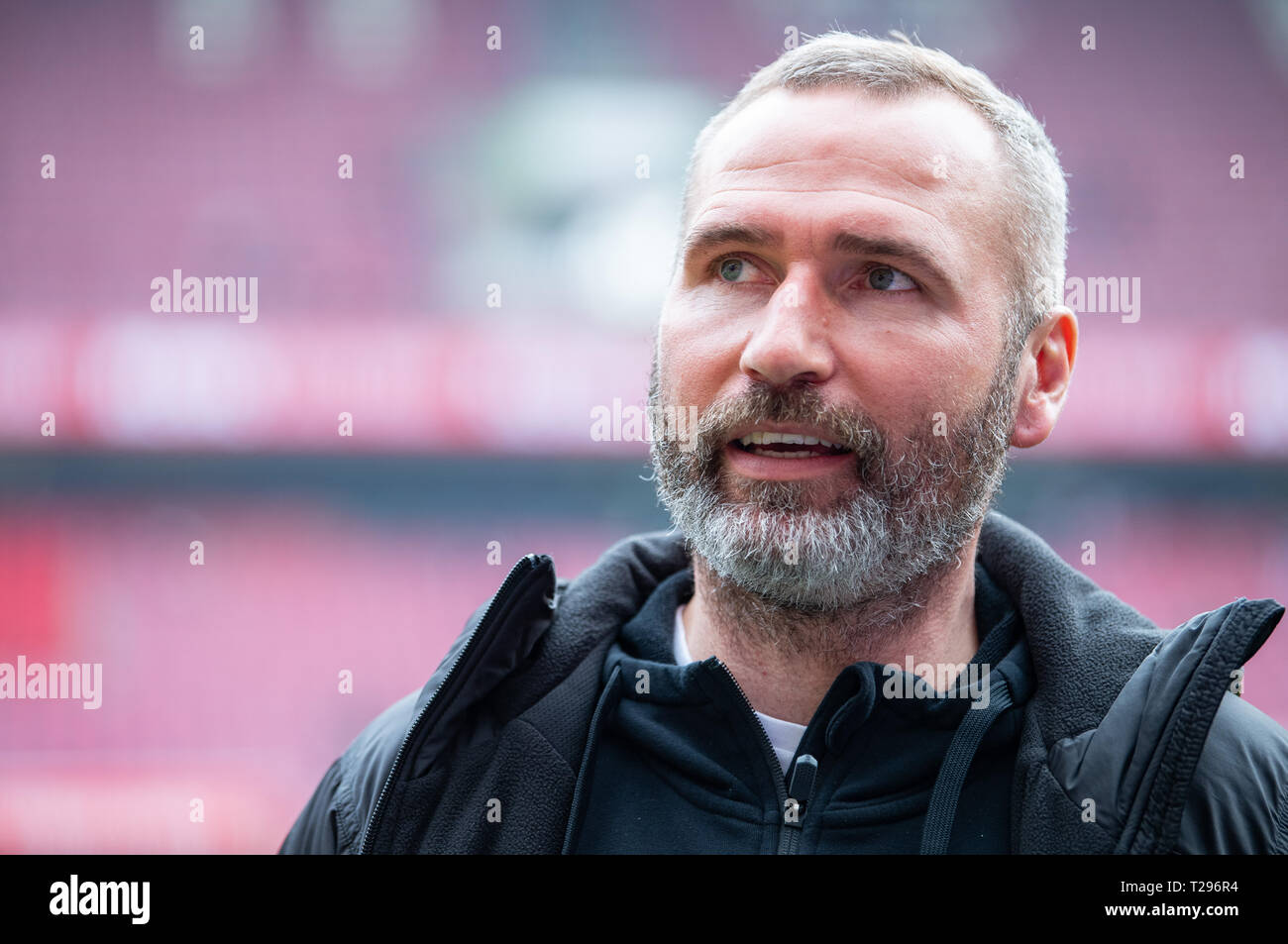 Cologne, Germany. 31st Mar, 2019.  Soccer: 2nd Bundesliga, 1st FC Cologne - Holstein Kiel, 27th matchday in the Rhein-Energie-Stadion. Kiel's coach Tim Walter is about to play on the sidelines. Photo: Guido Kirchner/dpa - IMPORTANT NOTE: In accordance with the requirements of the DFL Deutsche Fußball Liga or the DFB Deutscher Fußball-Bund, it is prohibited to use or have used photographs taken in the stadium and/or the match in the form of sequence images and/or video-like photo sequences. Credit: dpa picture alliance/Alamy Live News Stock Photo