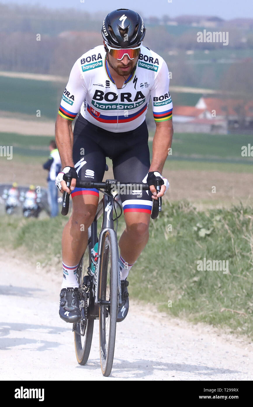 Peter Sagan High Resolution Stock Photography and Images - Alamy