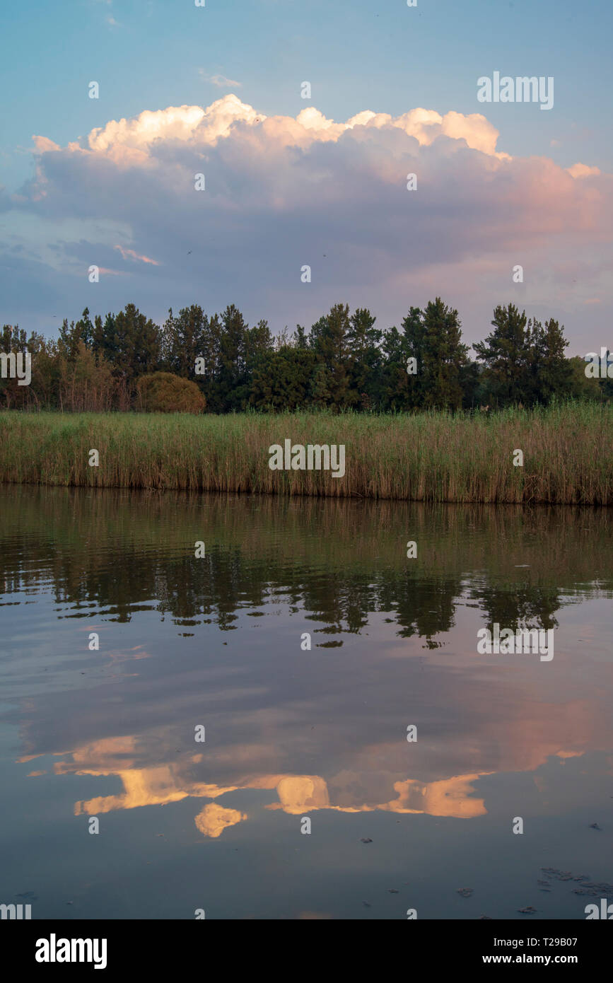 Johannesburg, South Africa, 31 March, 2019. The sky is reflected in Emmarentia dam, as the sun goes down, Johannesburg, South Africa. Credit: Eva-Lotta Jansson/Alamy News Stock Photo