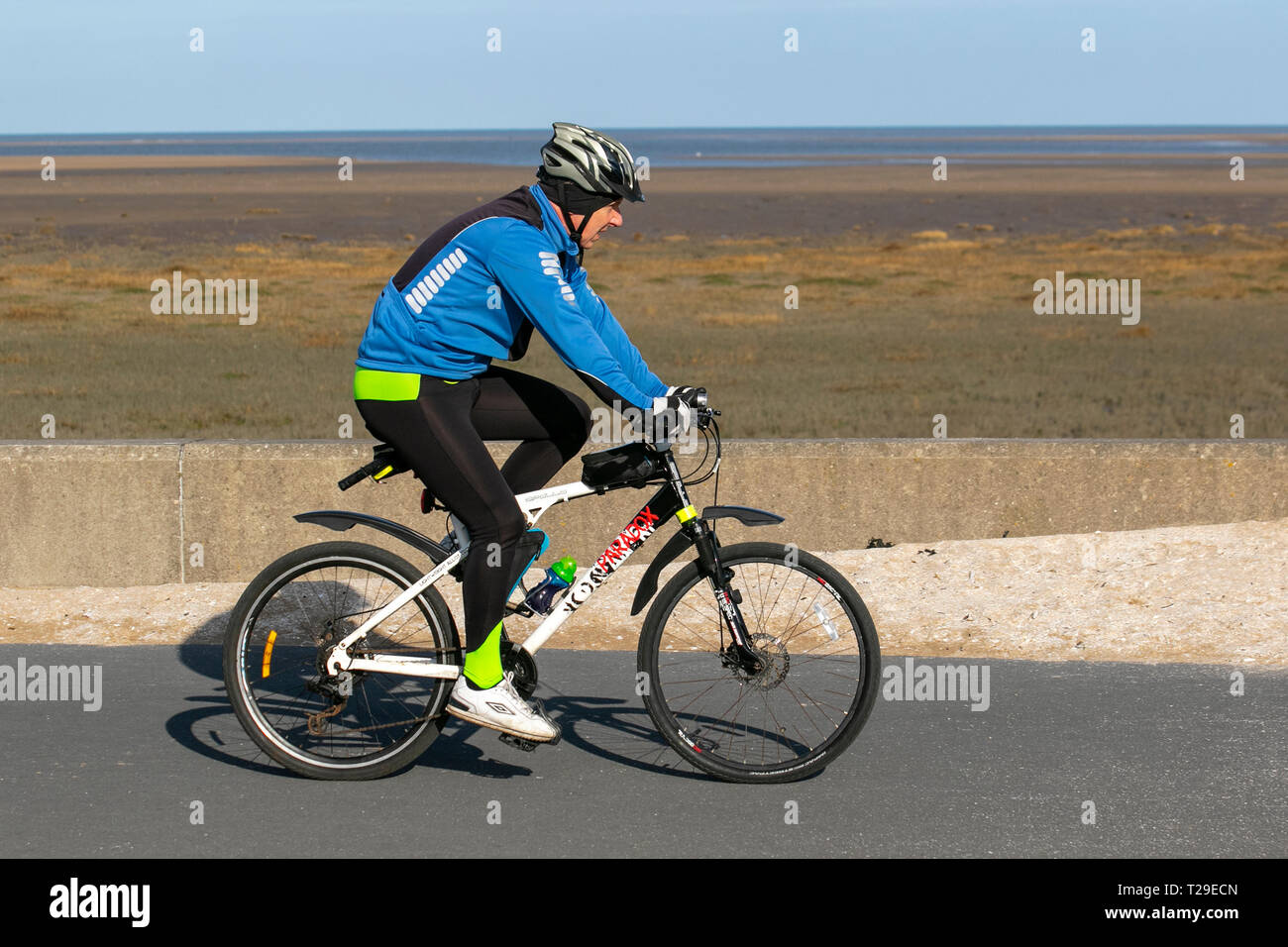 Apollo paradox cheap road bike