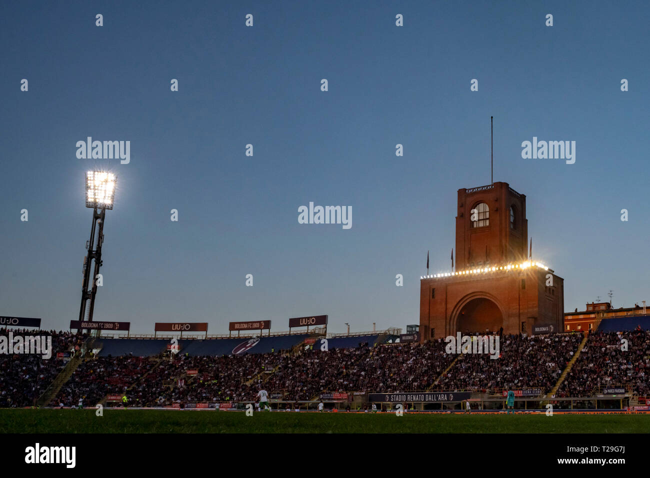 Bologna, Italy. 31st March, 2019. General View Stadium during the Italian 'Serie A' match between Bologna 2-1 Sassuolo at Renato Dall Ara Stadium on March 31, 2019 in Bologna, Italy. Credit: Maurizio Borsari/AFLO/Alamy Live News Stock Photo