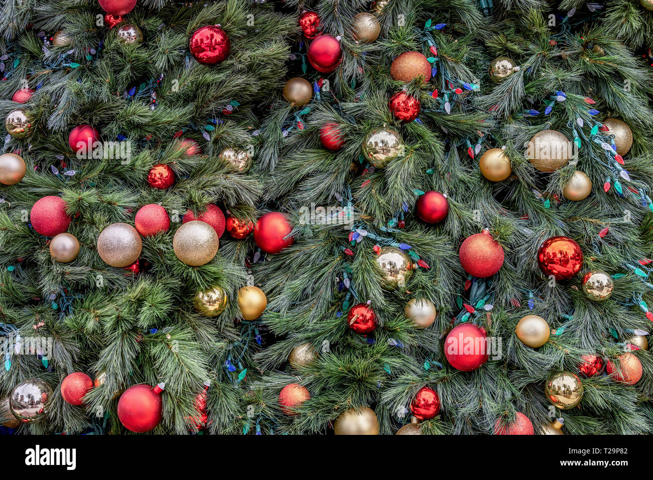 Colorful christmas tree hi-res stock photography and images - Alamy