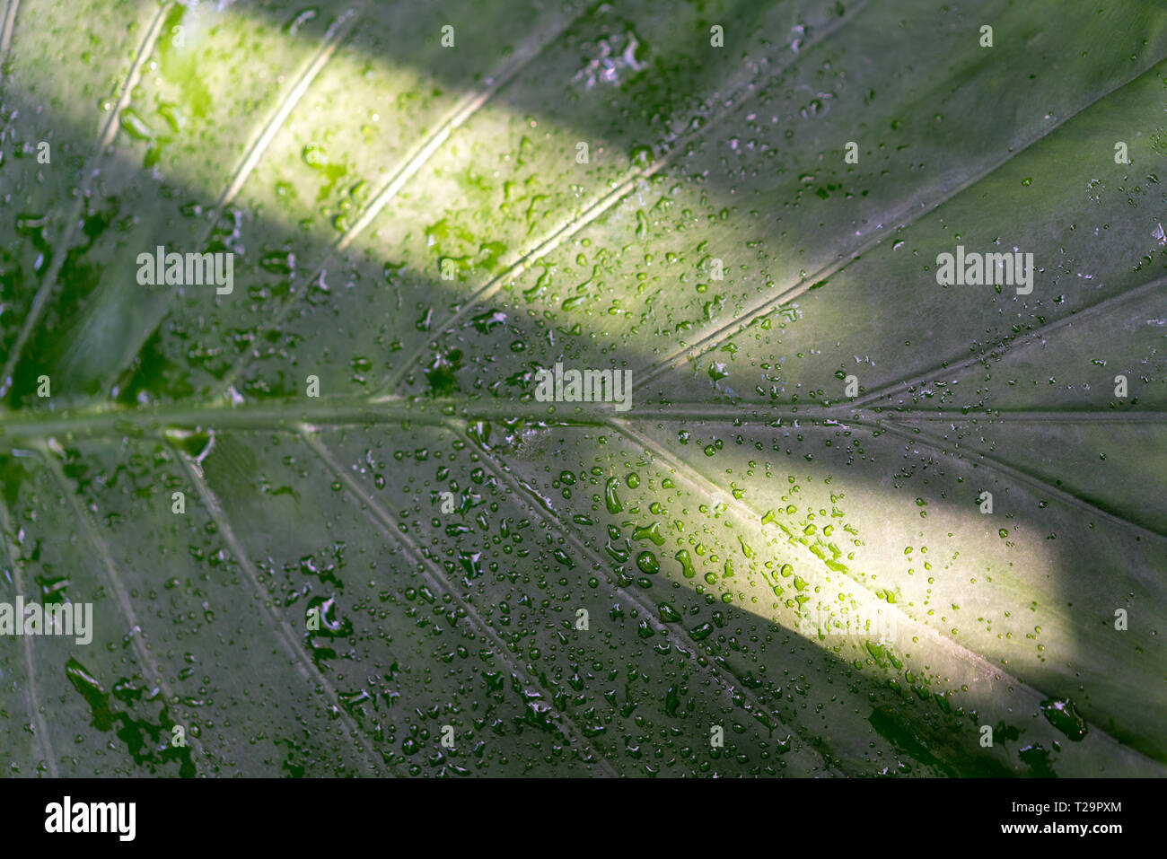 Image glowing spots hi-res stock photography and images - Alamy