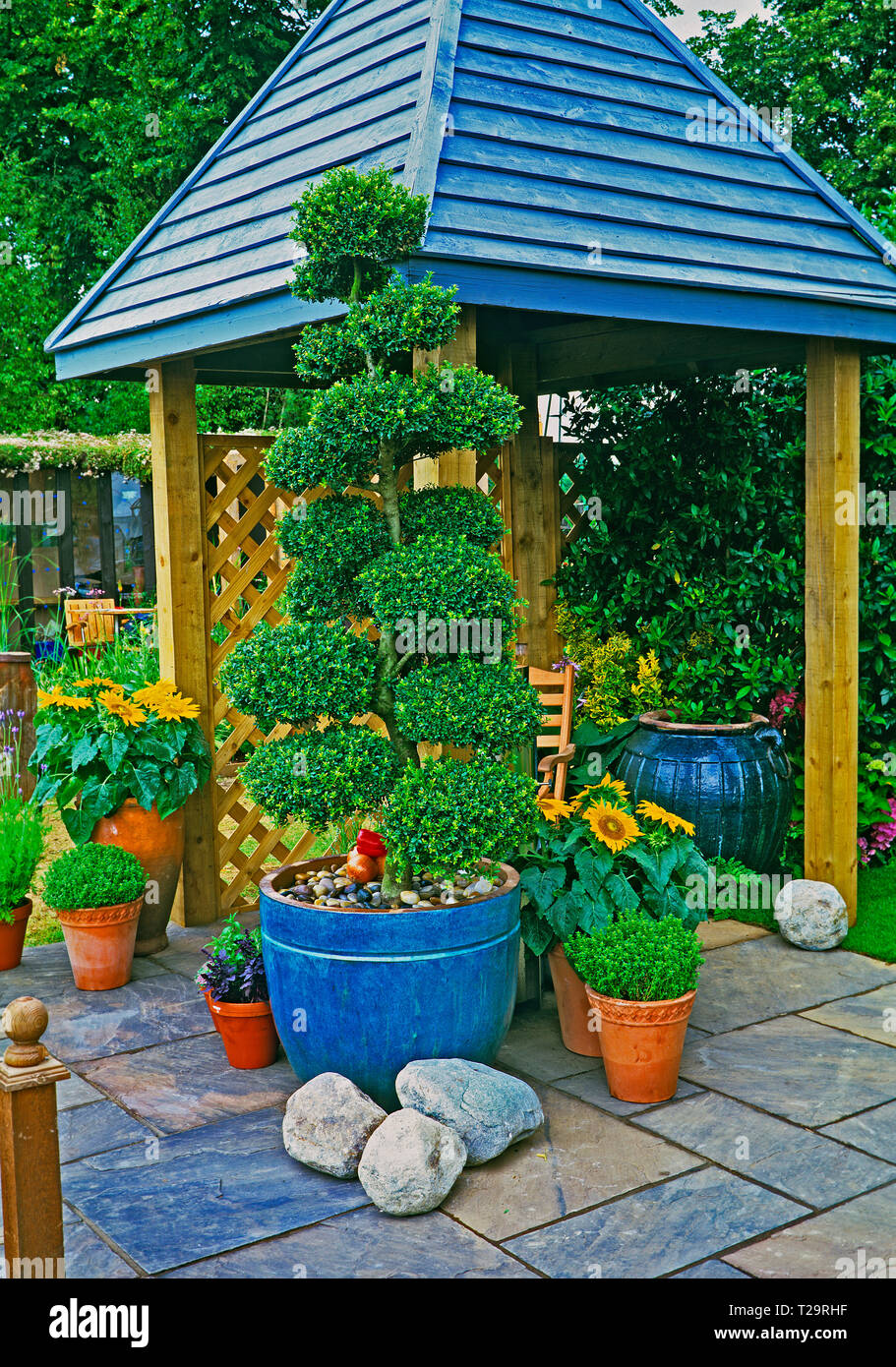 A colourful urban garden with planted containers of flowers and a cloud pruned topiary tree with covered seating area Stock Photo