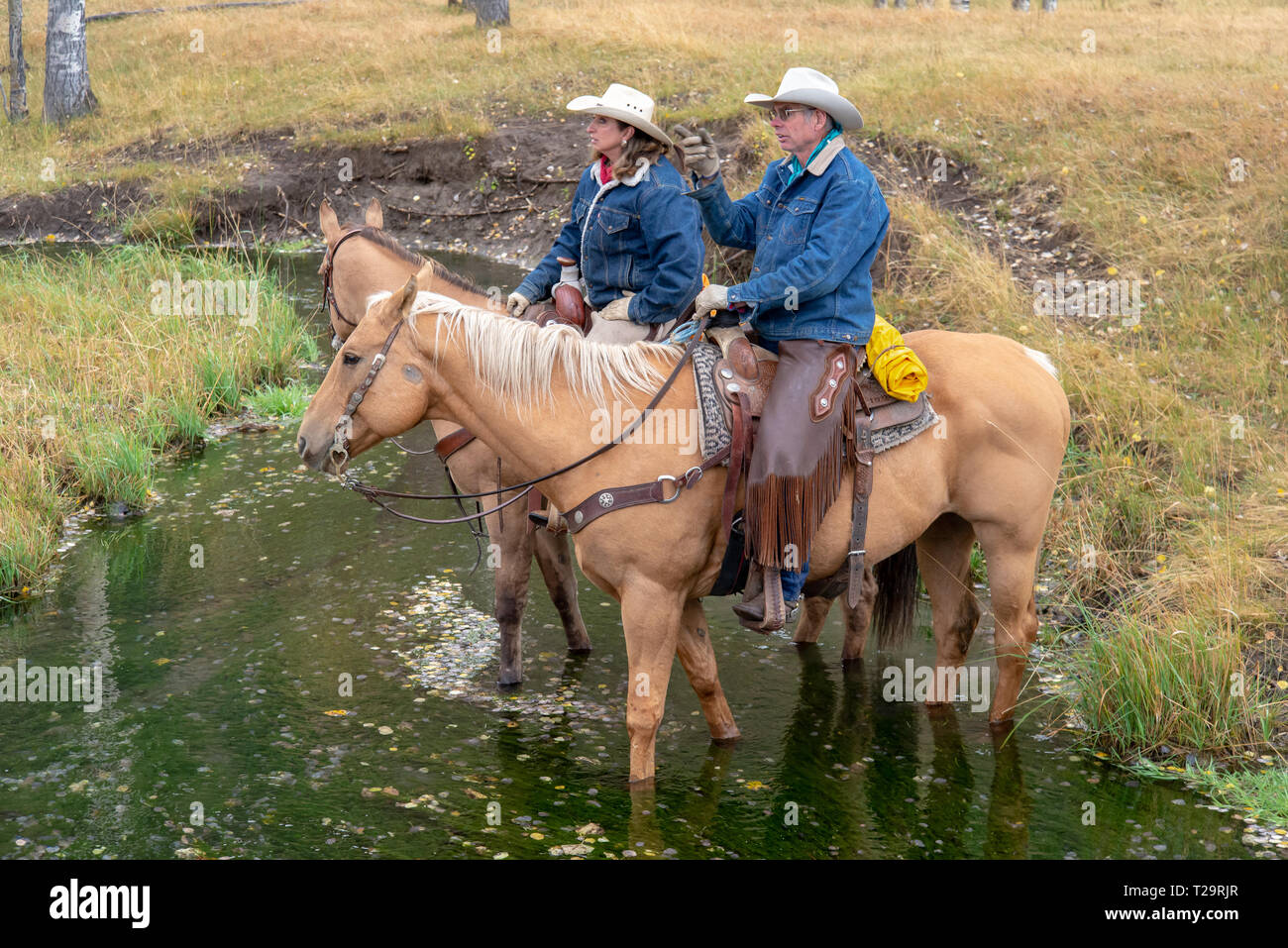 Cowboys of Wyoming, USA Stock Photo