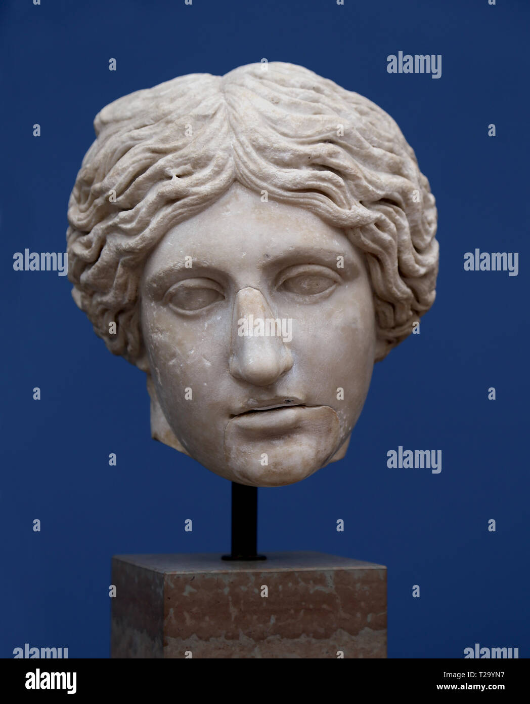 Head of a wounded Amazon (part of a statue). Rome, c. 150 AD. Marble. Copy of a Greek original. Carlsberg Glyptotek, Copenhagen, Denmark. Stock Photo