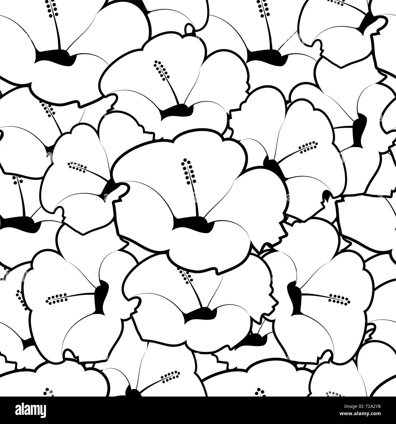 Seamless pattern of hibiscus flowers. Floral background. Vector ...