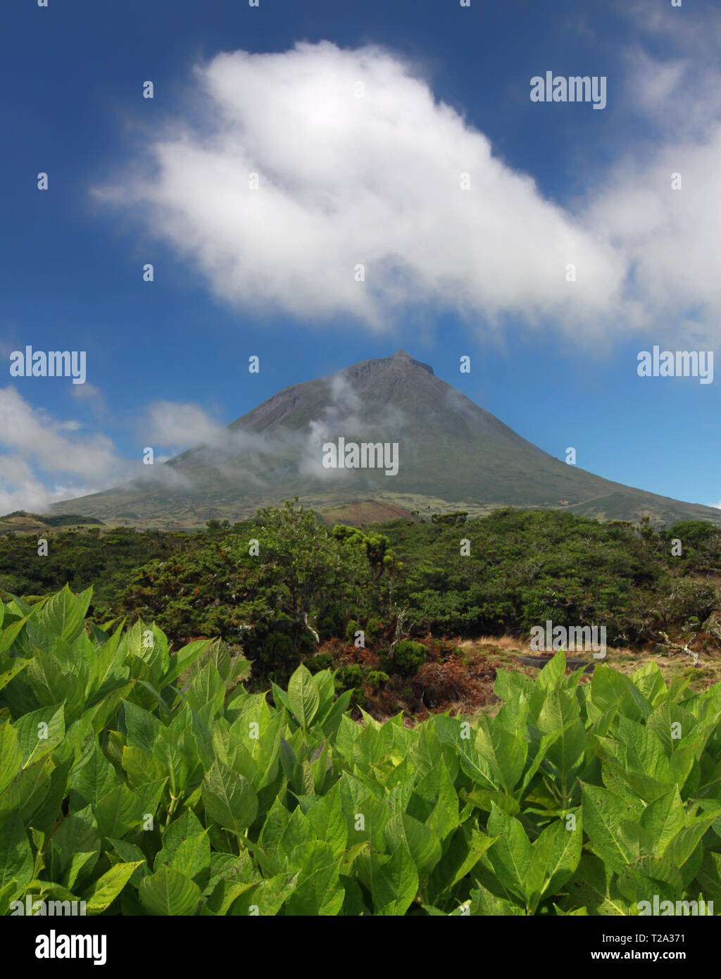 Volcano Mount Pico at Pico island, Azores Stock Photo