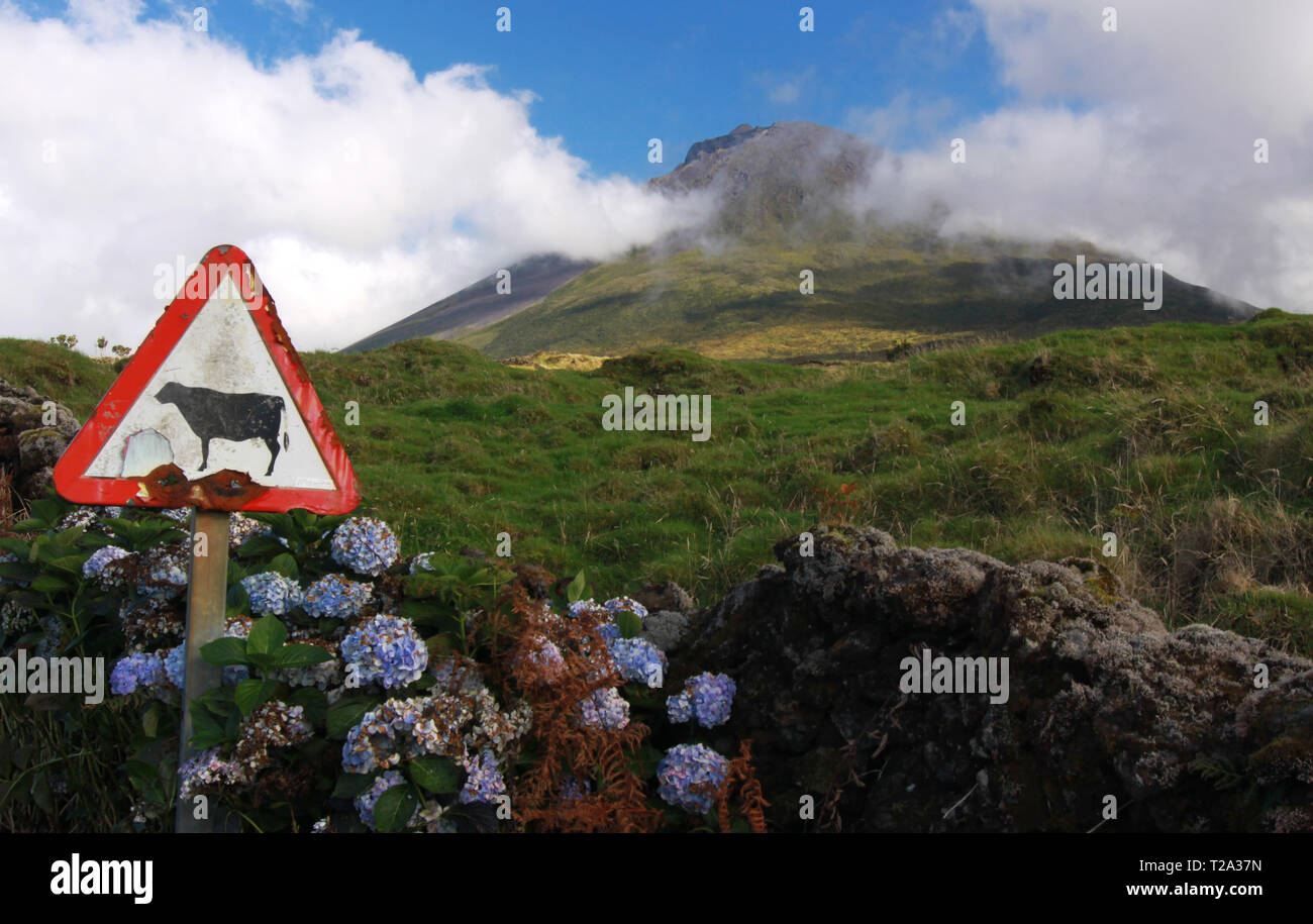 Weathered Sign in front of Volcano Mount Pico at Pico island, Azores Stock Photo