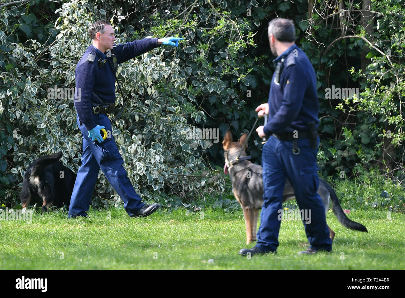 Police and sniffer dogs in Craig Park in north London, after four stabbings between Saturday evening and Sunday morning in the Edmonton area, which police are treating as potentially linked. Stock Photo