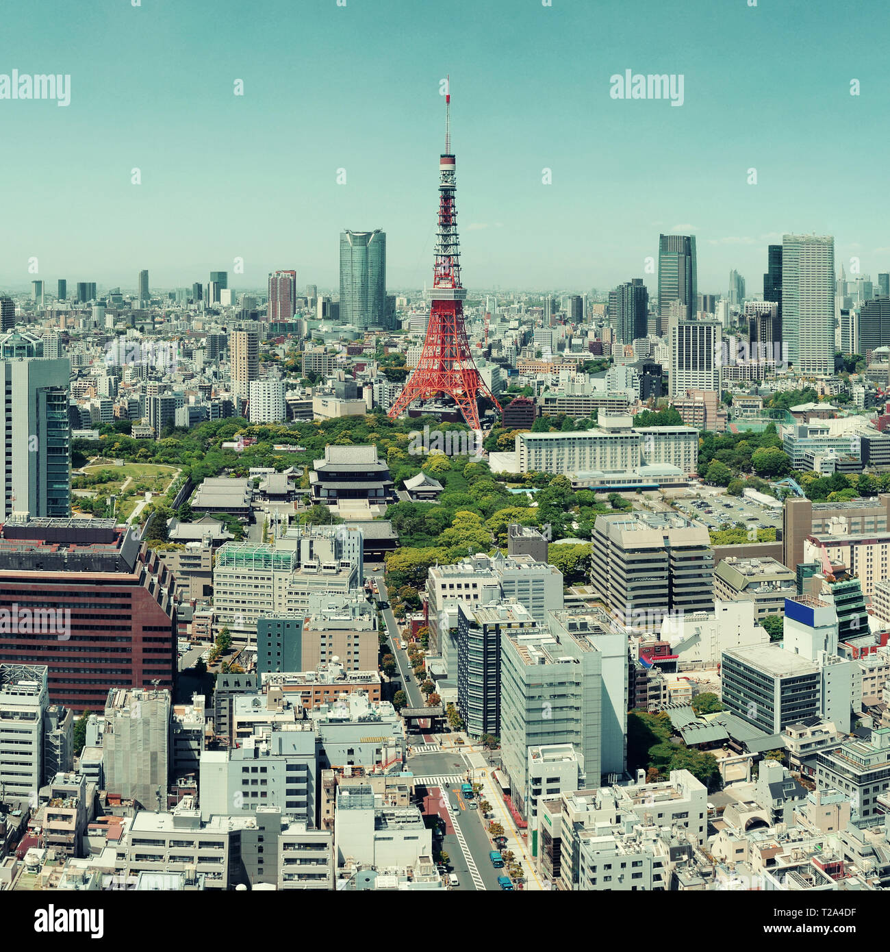 Tokyo Tower and urban skyline rooftop view, Japan. Stock Photo