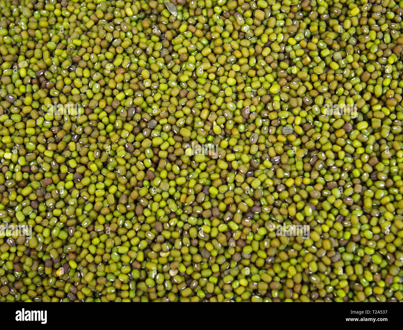 green raw pea background shooting. top view organic food. Mung beans